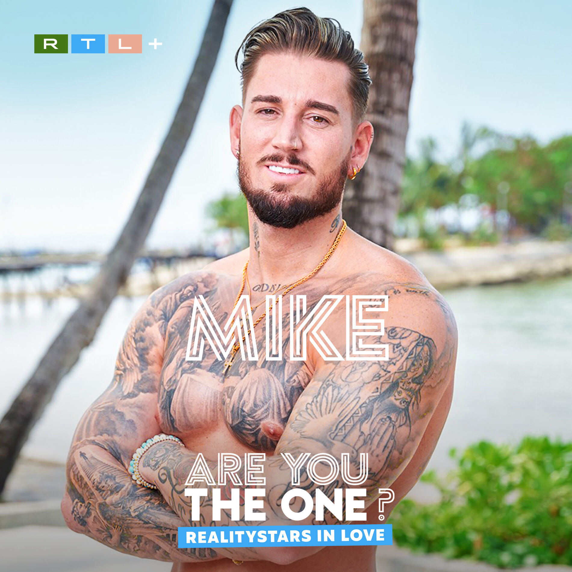 Cover of playlist Mikes Top Hits