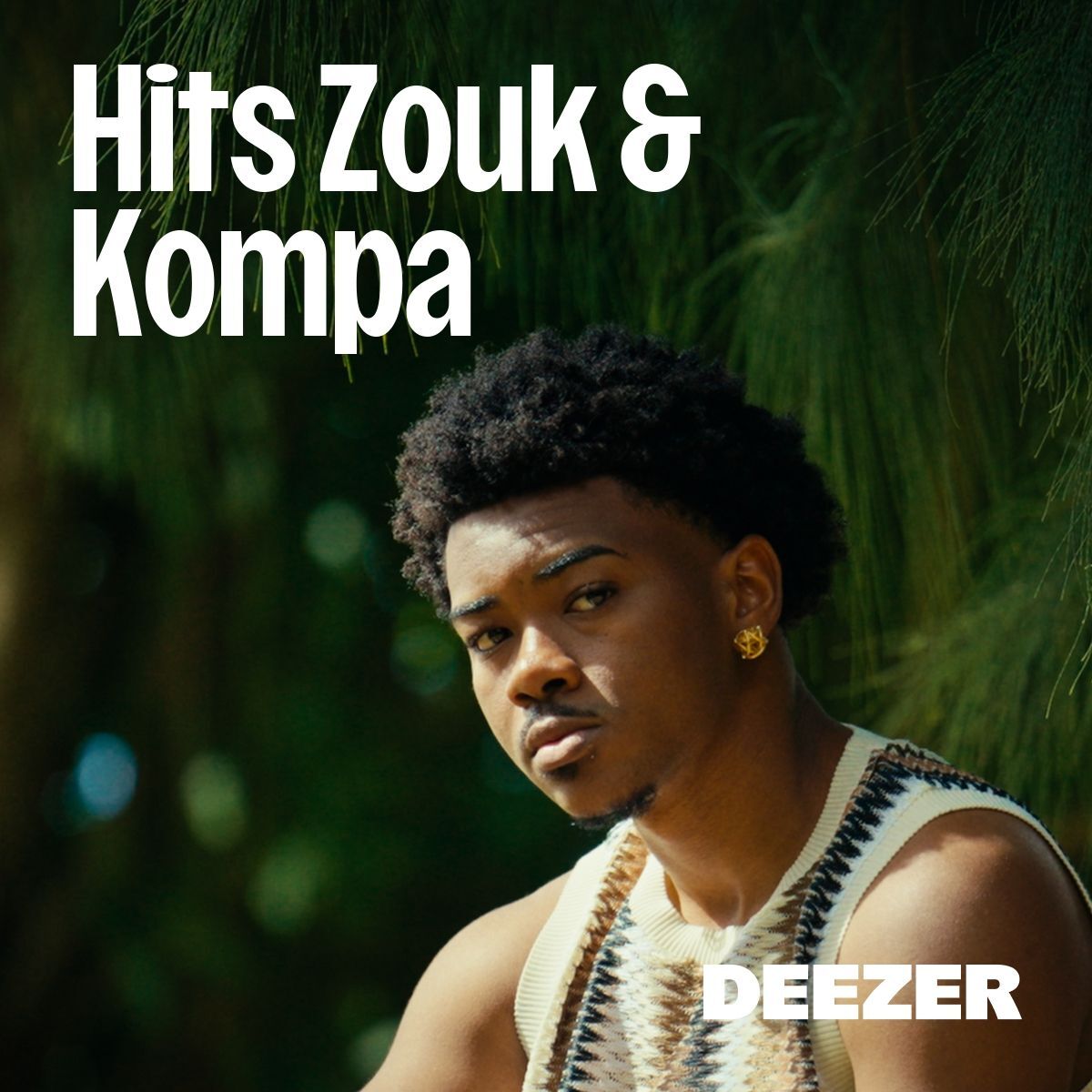 Cover of playlist Hits Zouk & Kompa