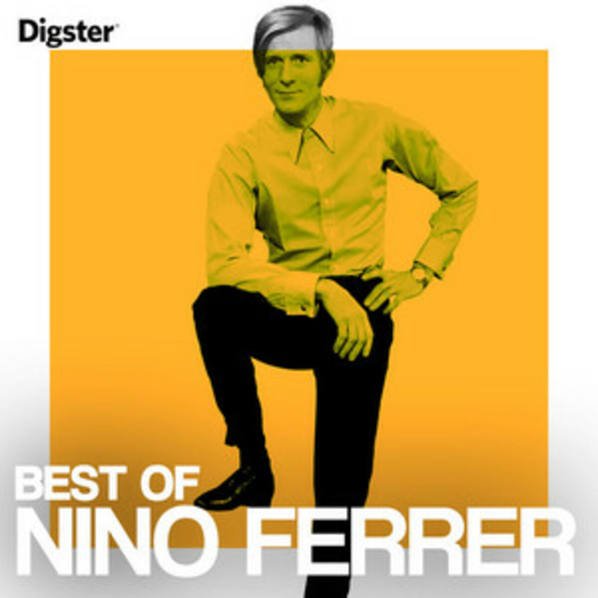 Cover of playlist Nino Ferrer Best Of
