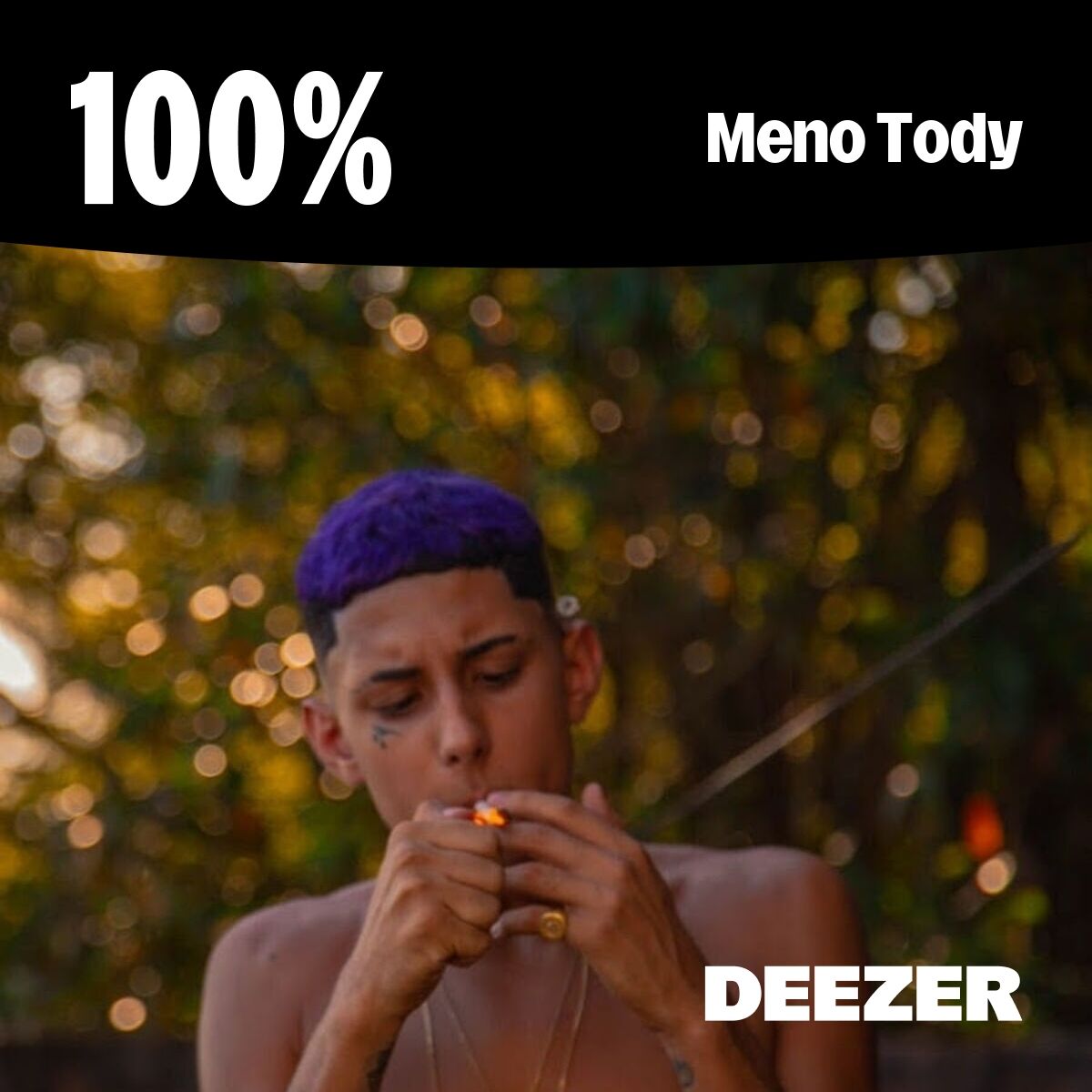 Cover of playlist 100% Meno Tody