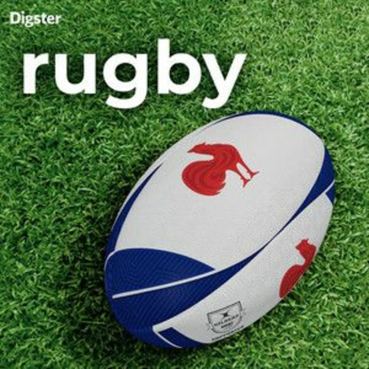 Cover of playlist Playlist rugby 🏉  | Coupe du monde de rugby