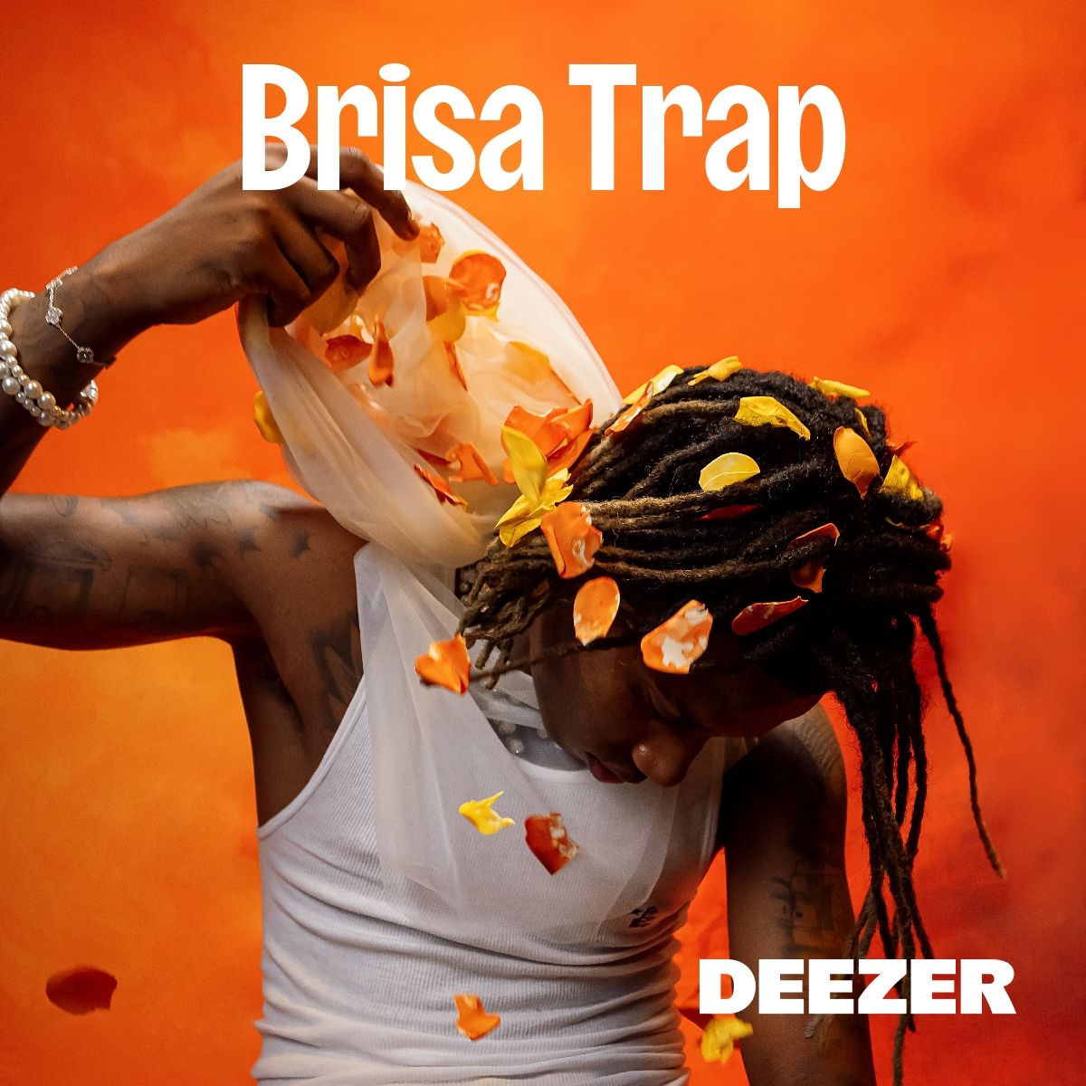 Cover of playlist Brisa Trap