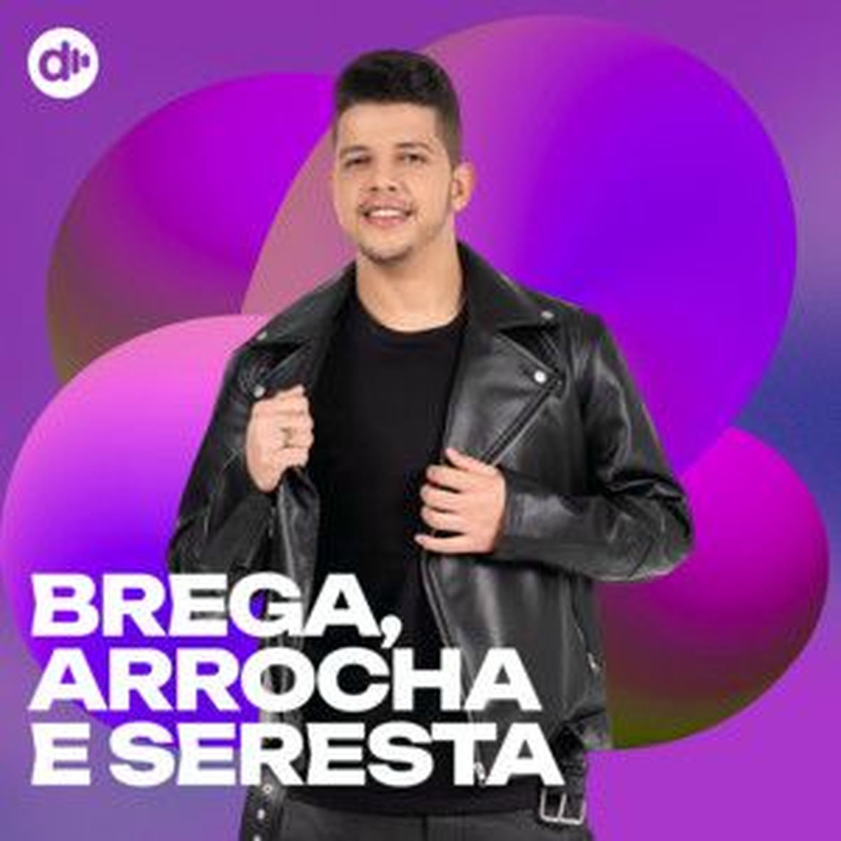 Cover of playlist O melhor do Brega, Arrocha e Seresta 🔥Seresta 2025