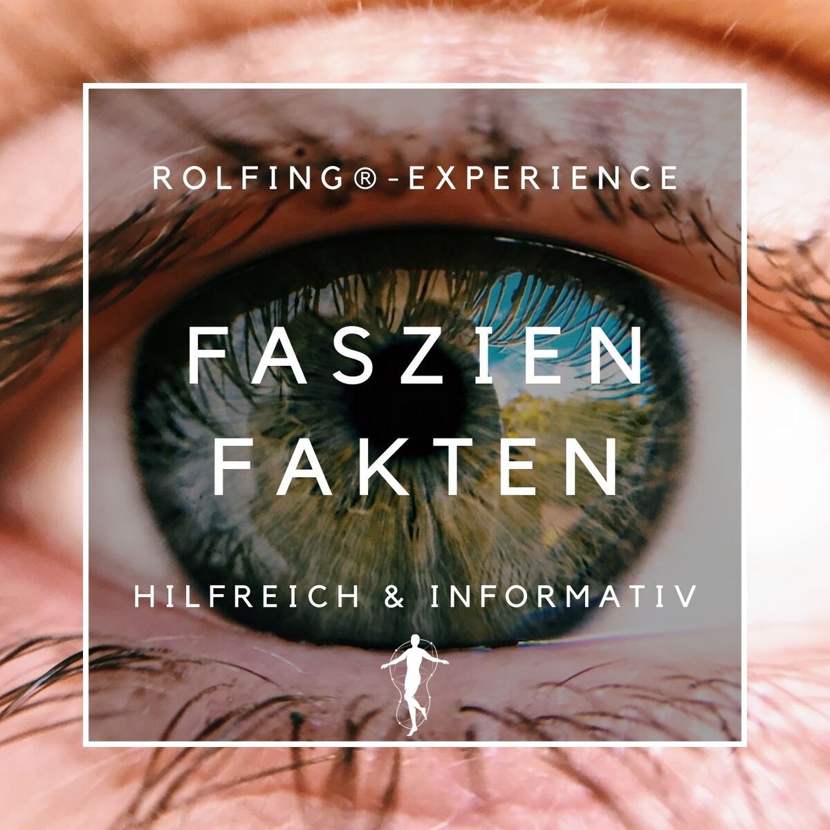 Show cover of Faszien Fakten - Körper, Geist, Verkörperung