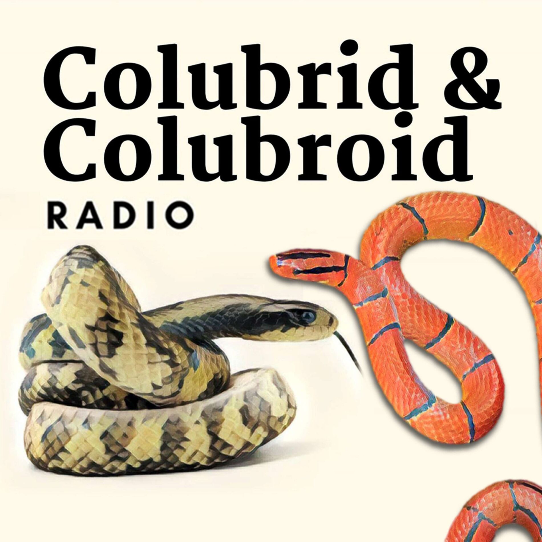 Show cover of Colubrid & Colubroid Radio