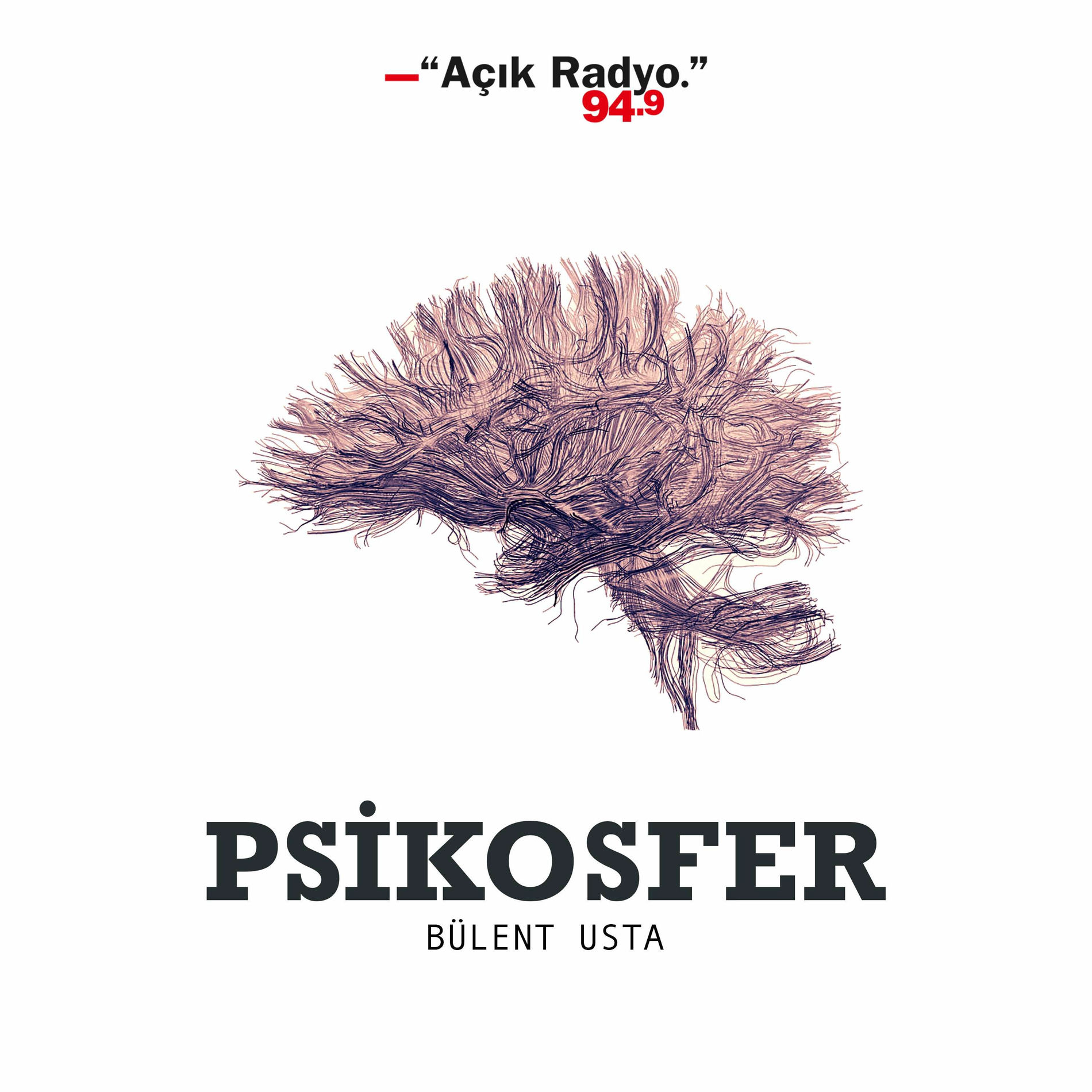 Show cover of Psikosfer