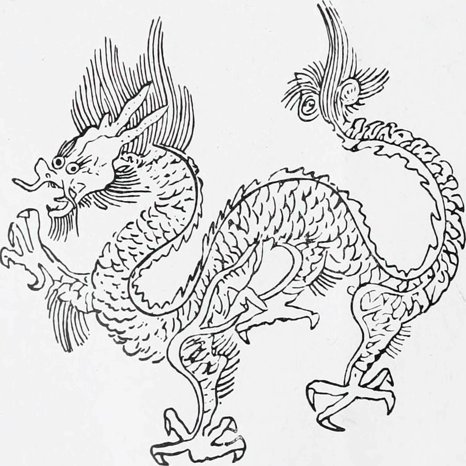 Show cover of Avec les dragons