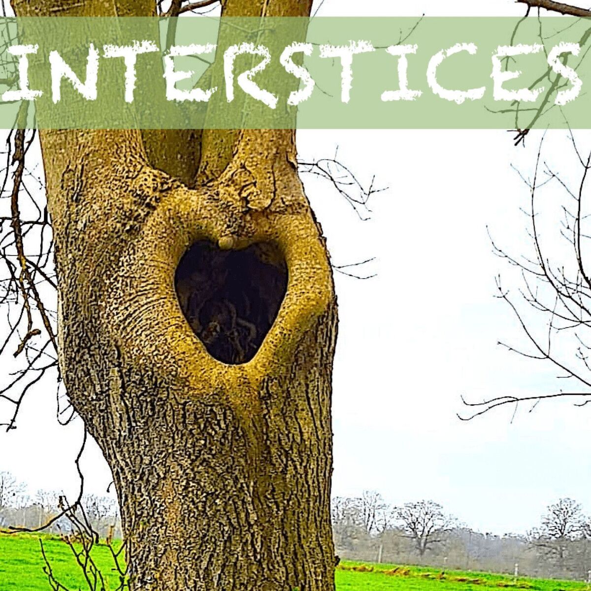 Show cover of INTERSTICES