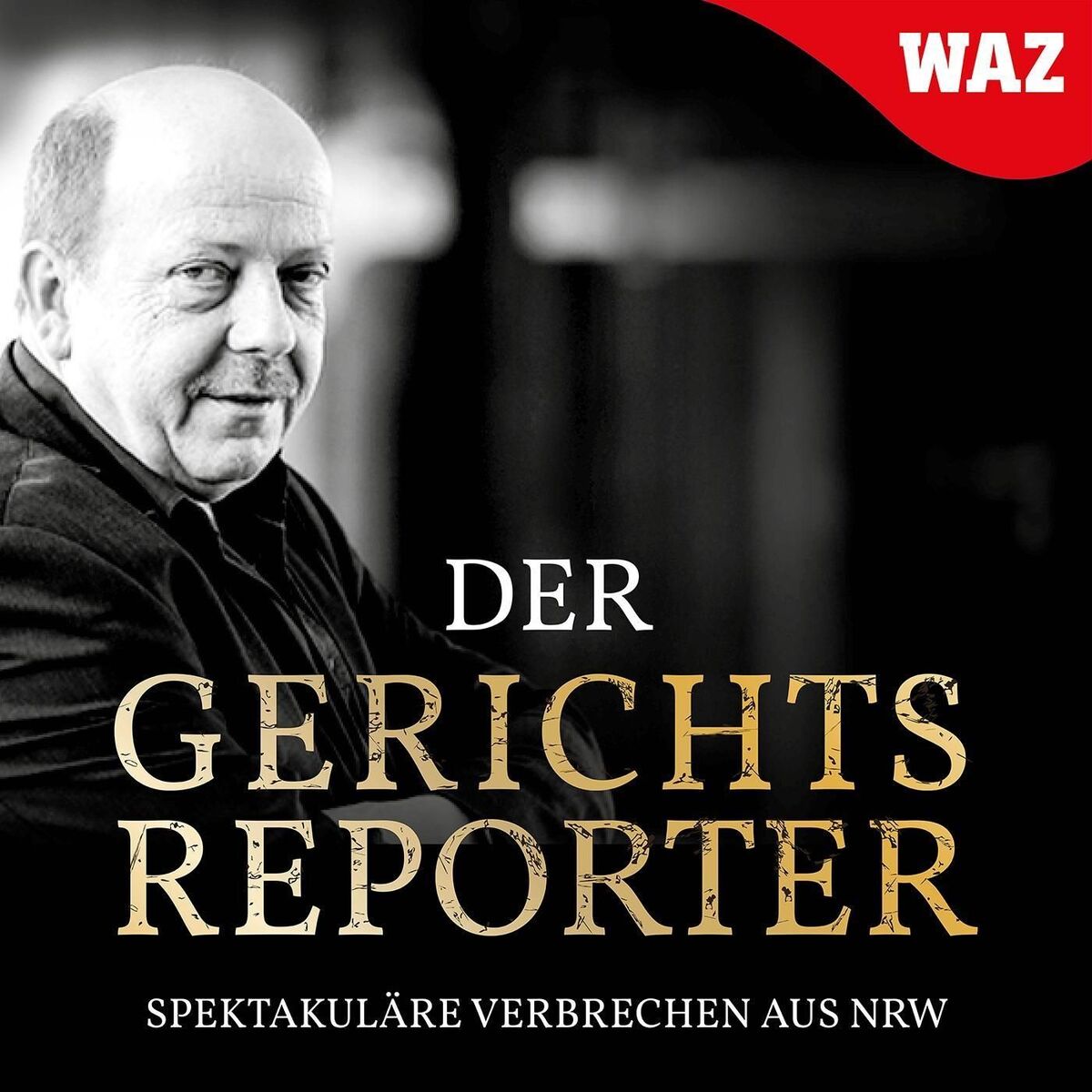 Show cover of Der Gerichtsreporter