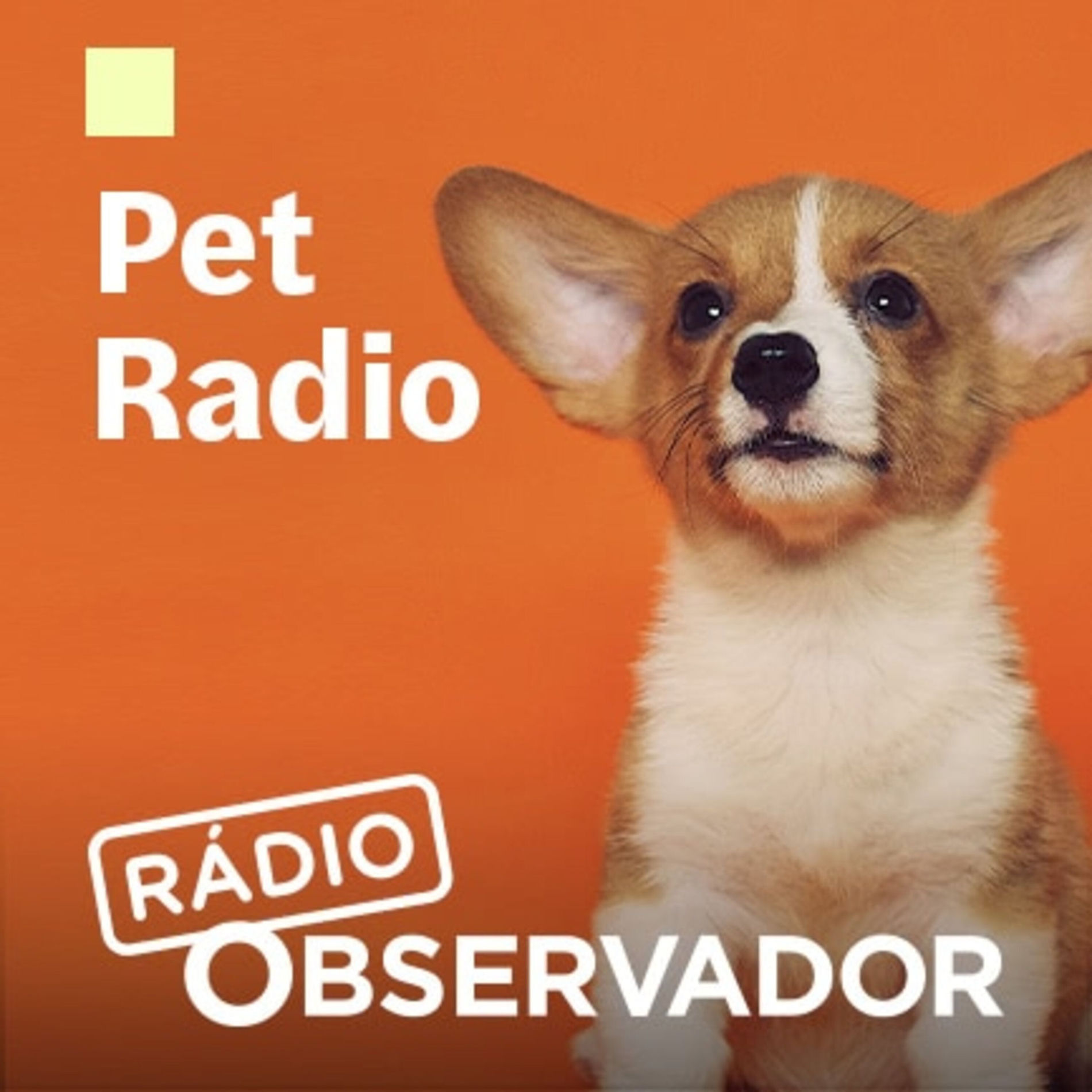 Show cover of Pet Radio