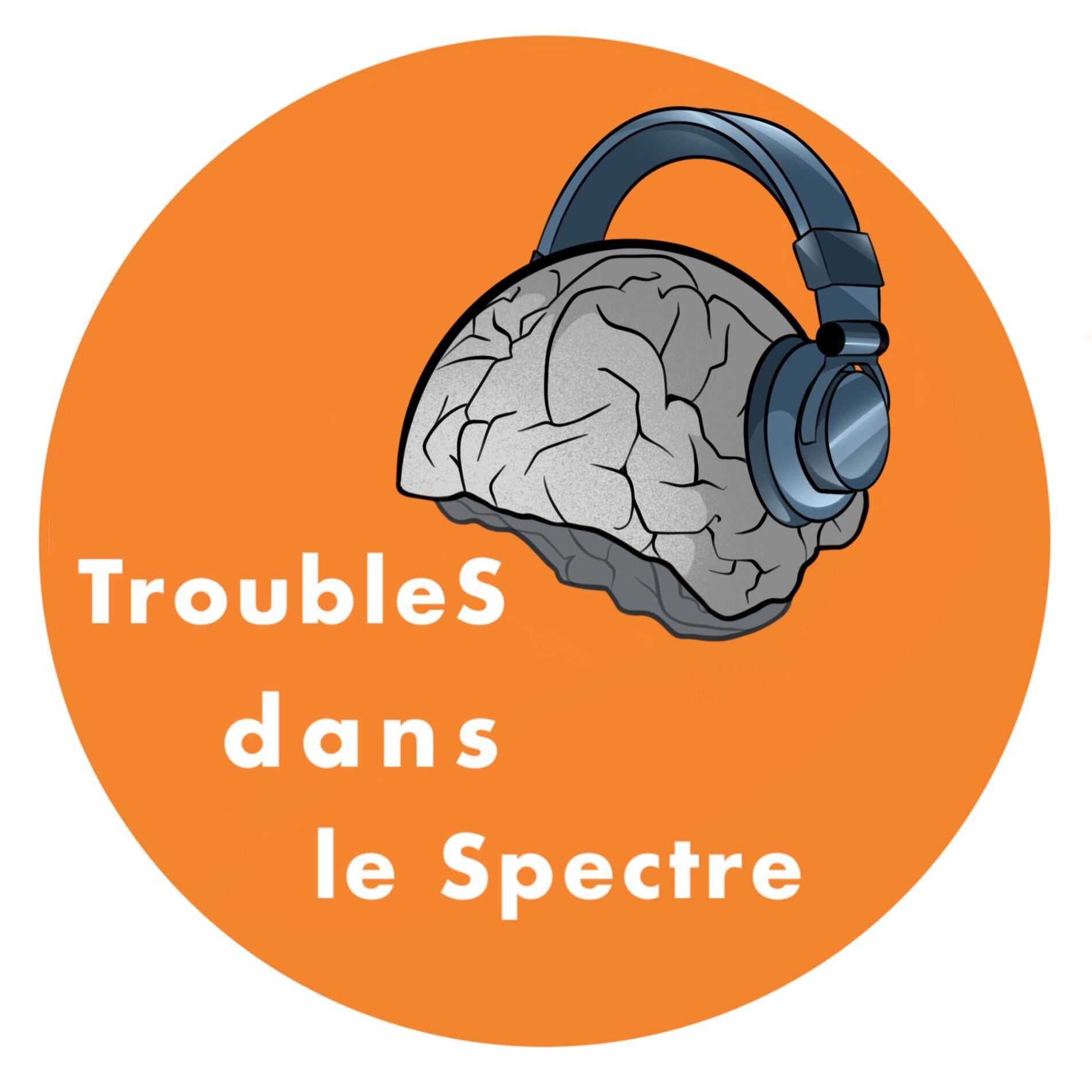 Show cover of TroubleS dans le Spectre