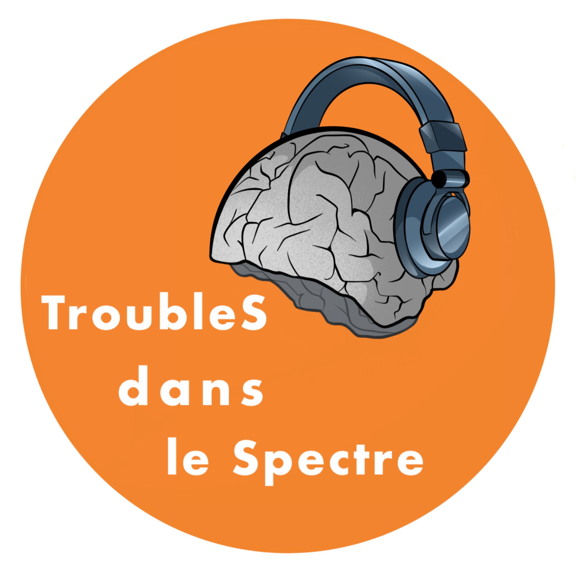 Show cover of TroubleS dans le Spectre