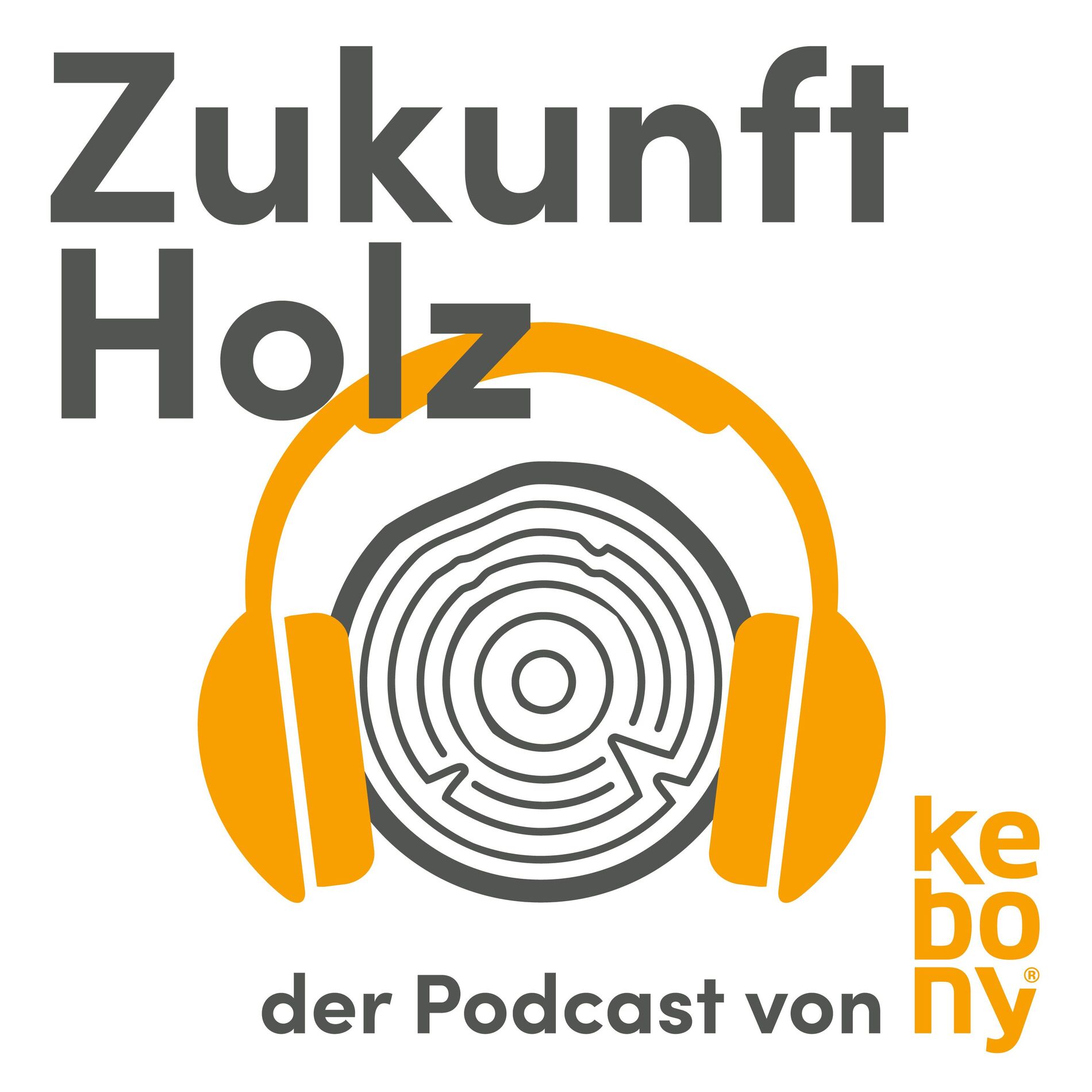 Show cover of Zukunft Holz