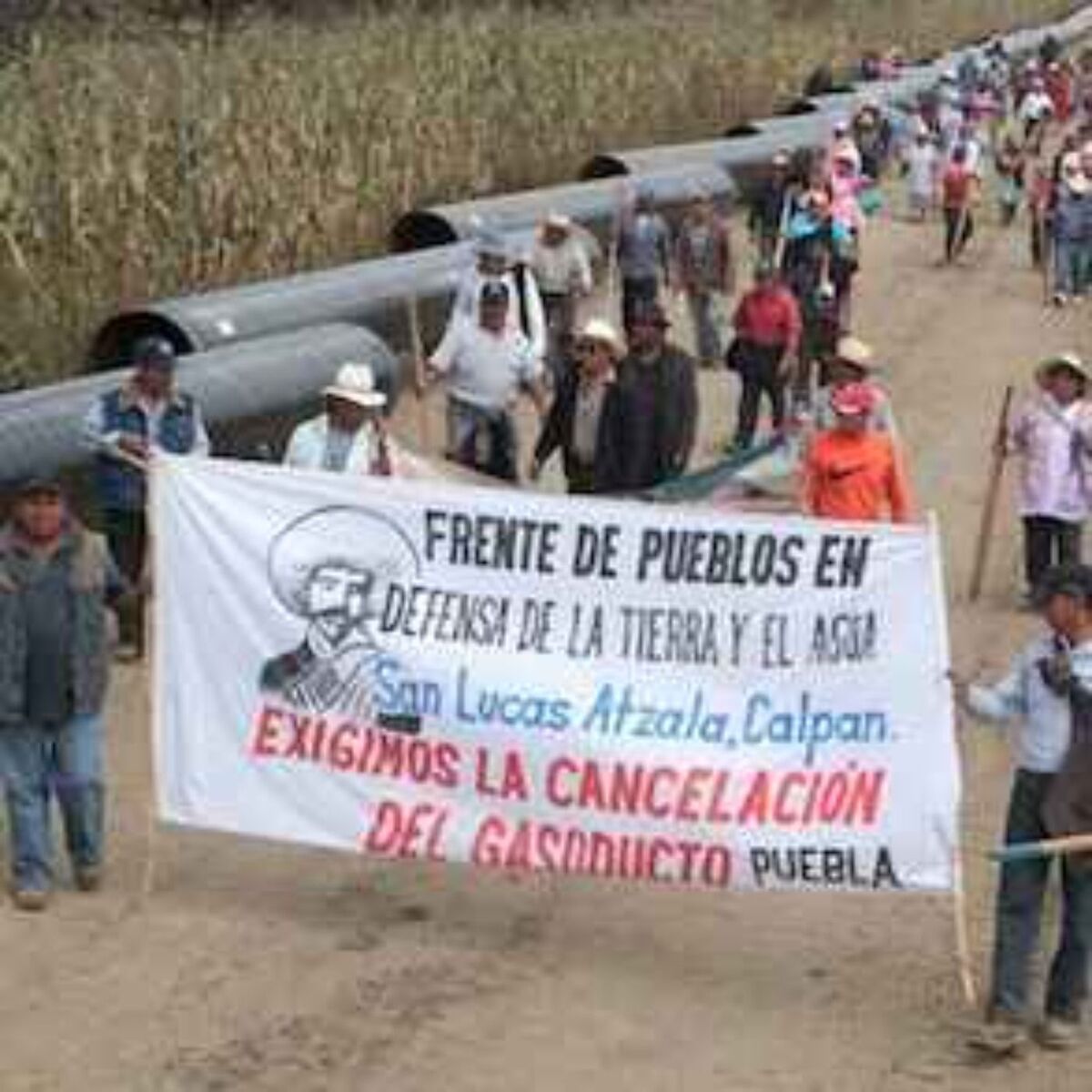 Show cover of Frente de Pueblos en Defensa de la Tierra y el Agua Morelos, Puebla y Tlaxcala
