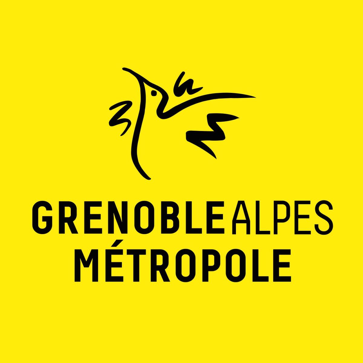 Show cover of Grenoble Alpes Métropole