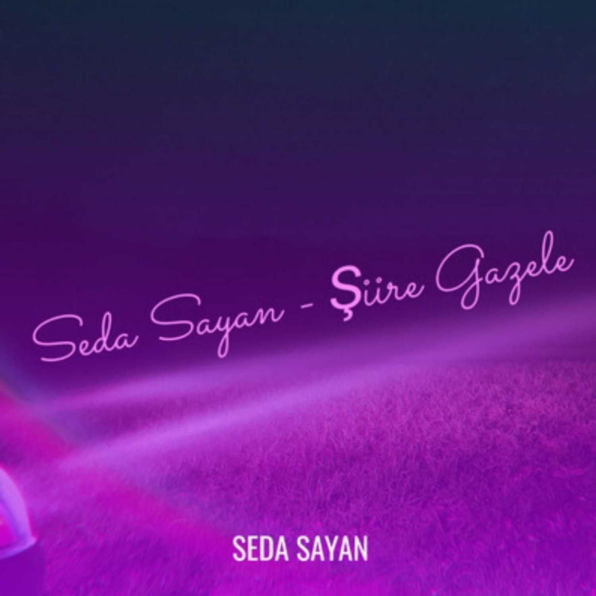 Show cover of Şiire Gazele 1991