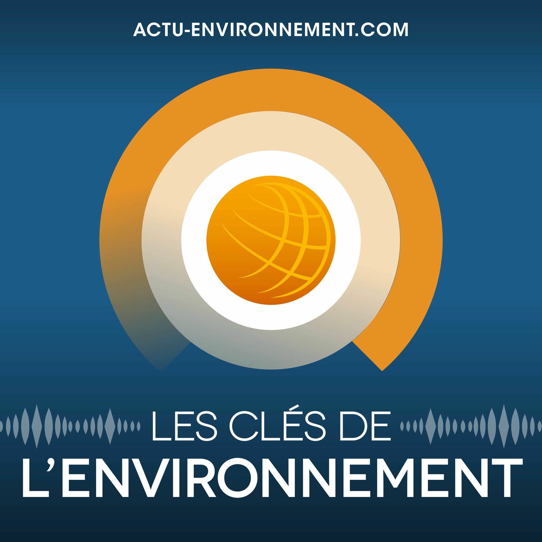 Show cover of Les Clés de l'Environnement