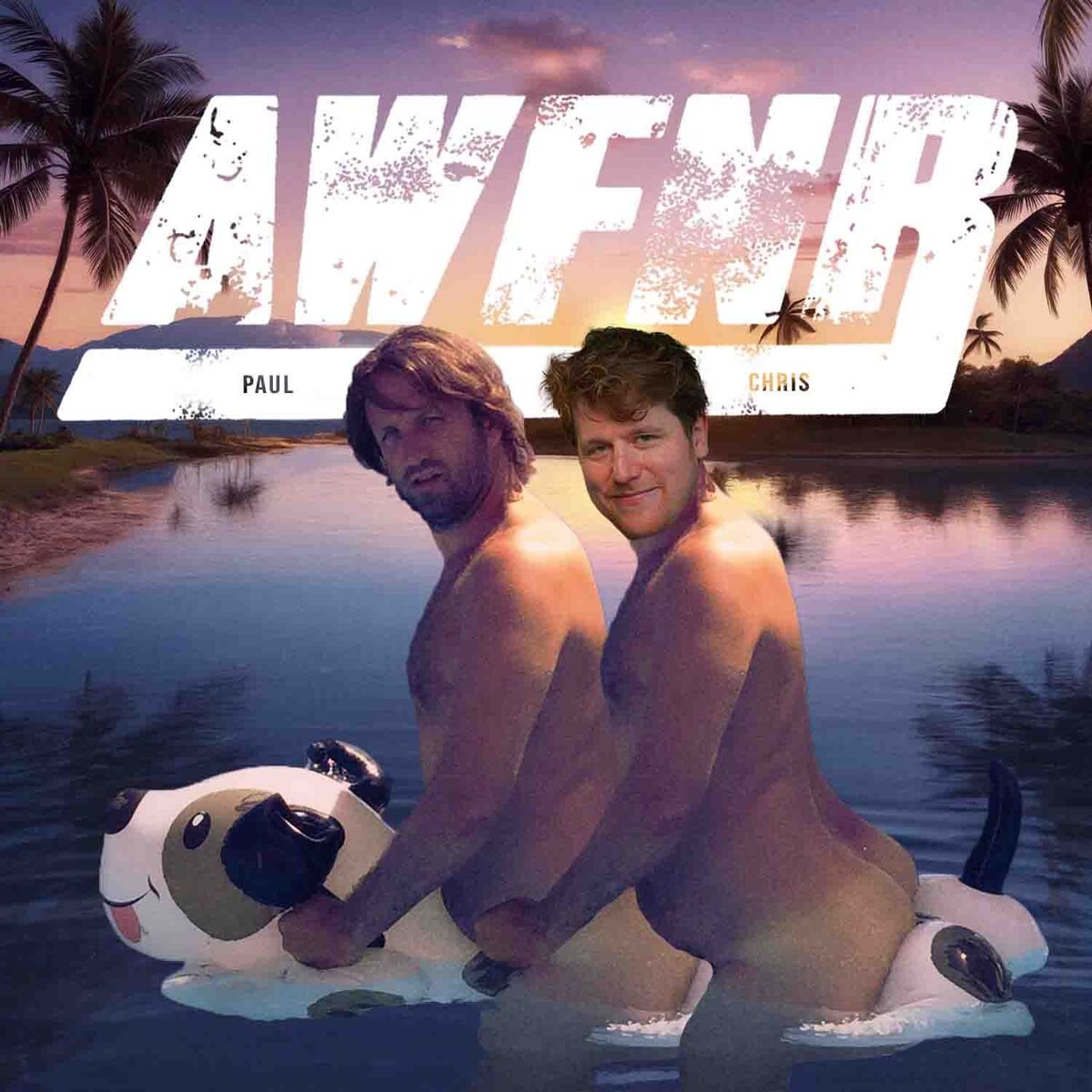 Show cover of AWFNR