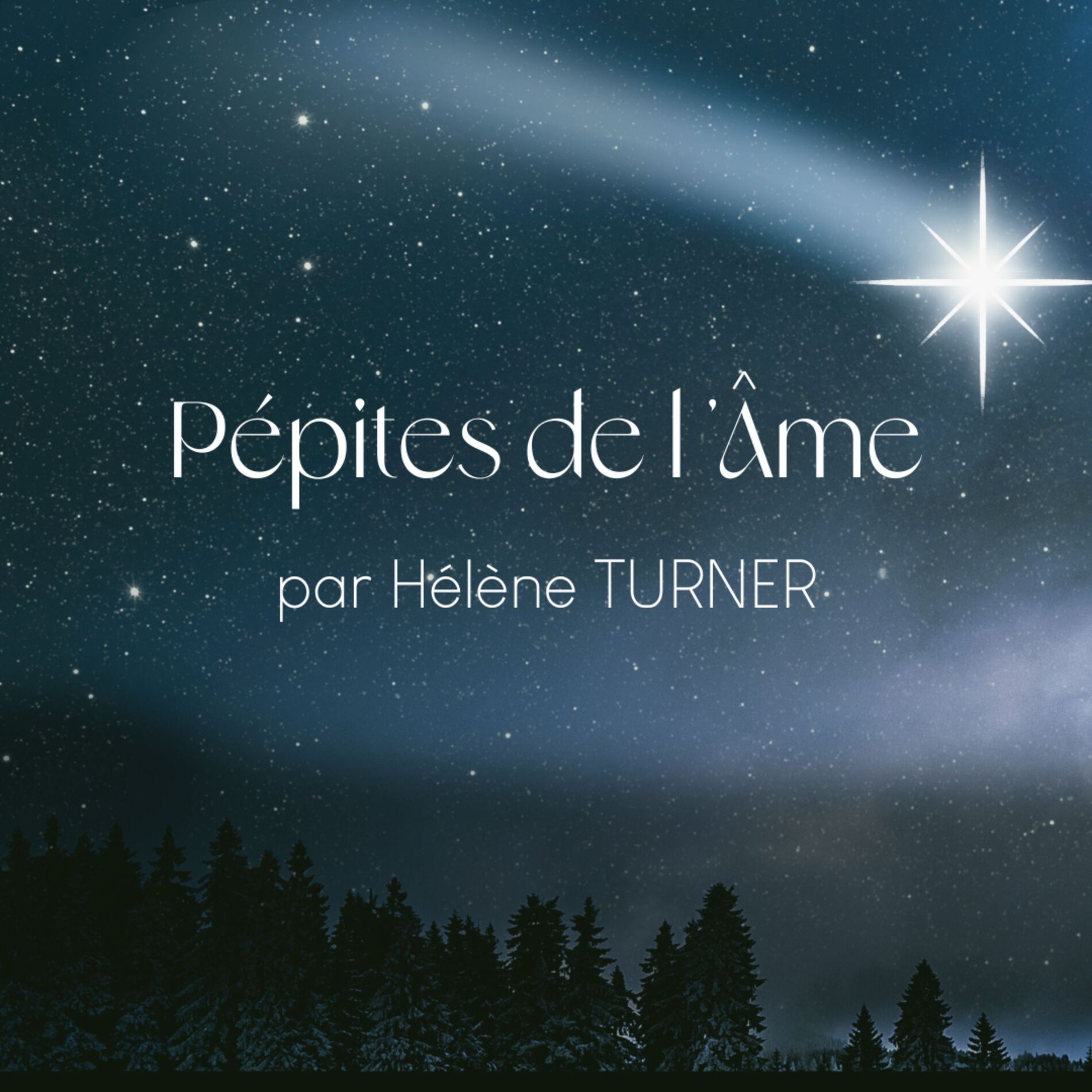 Show cover of Pépites de l'Âme