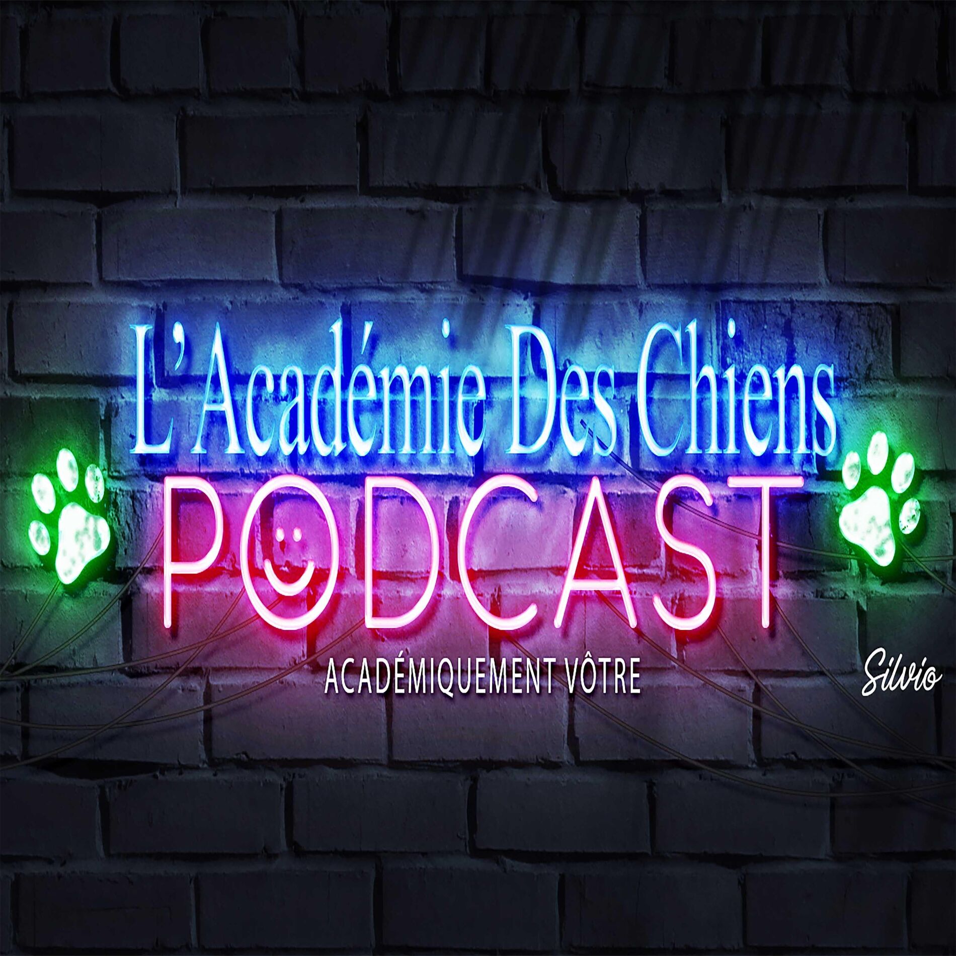 Show cover of Podcast Académique