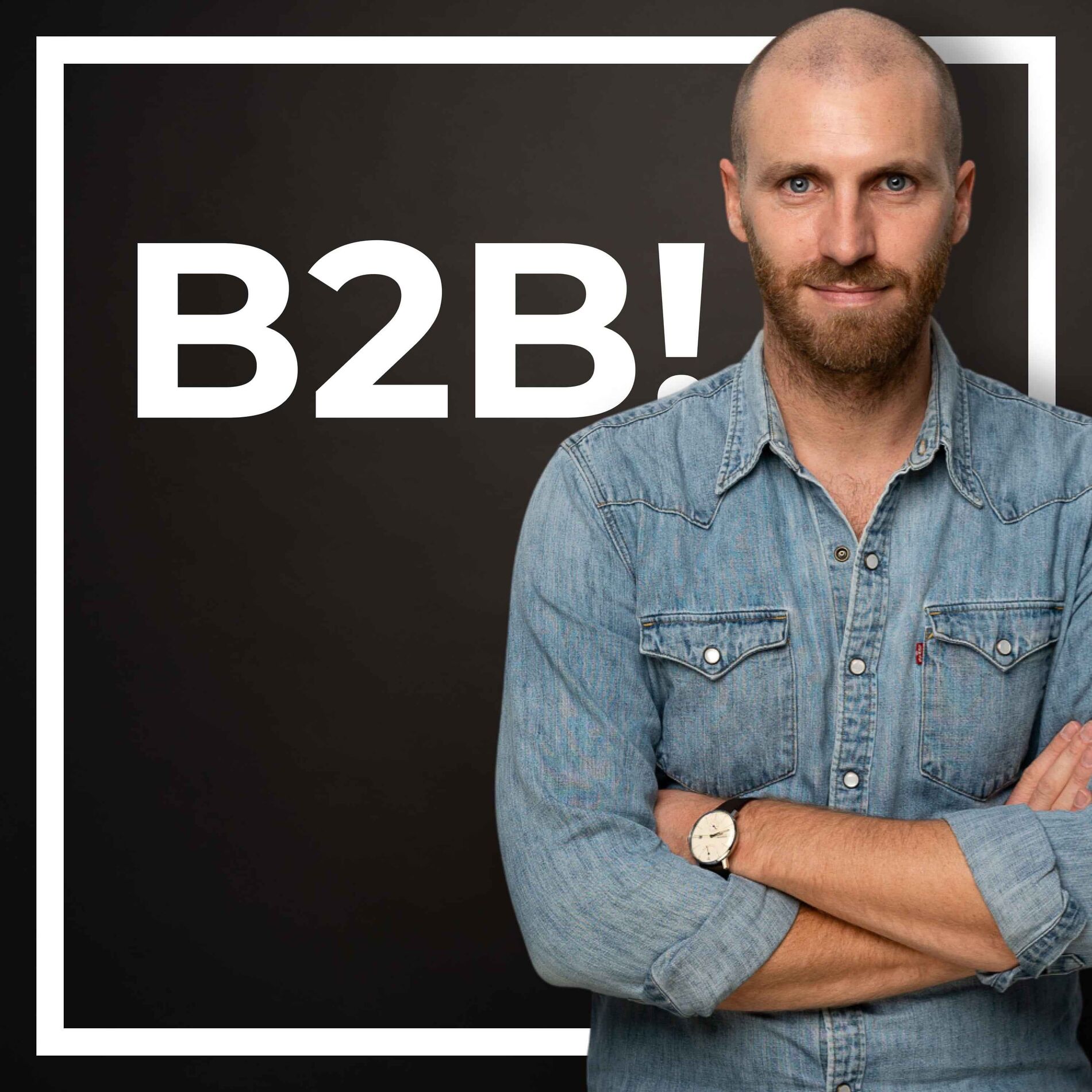 Show cover of B2B! Marketing Podcast