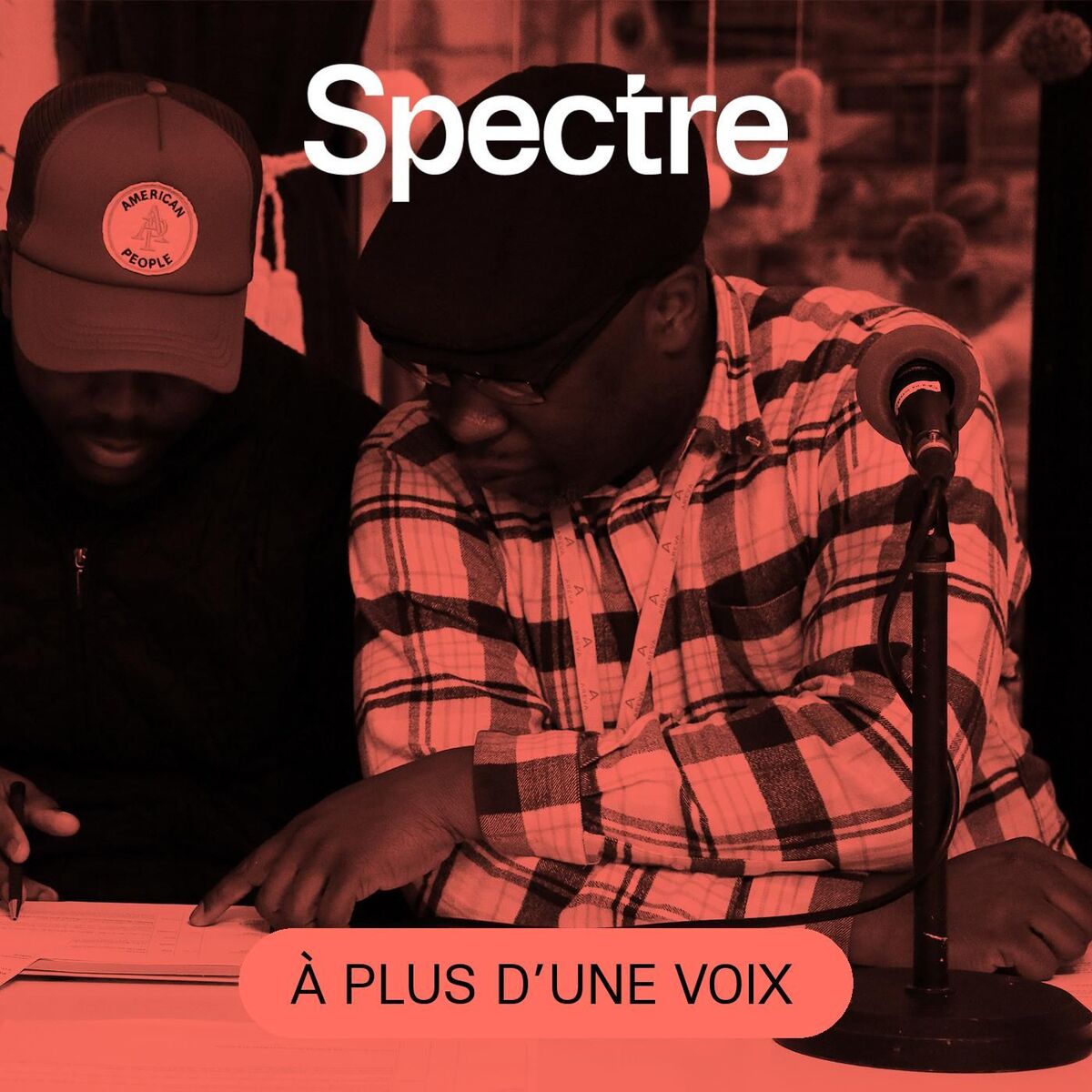 Show cover of À plus d’une voix