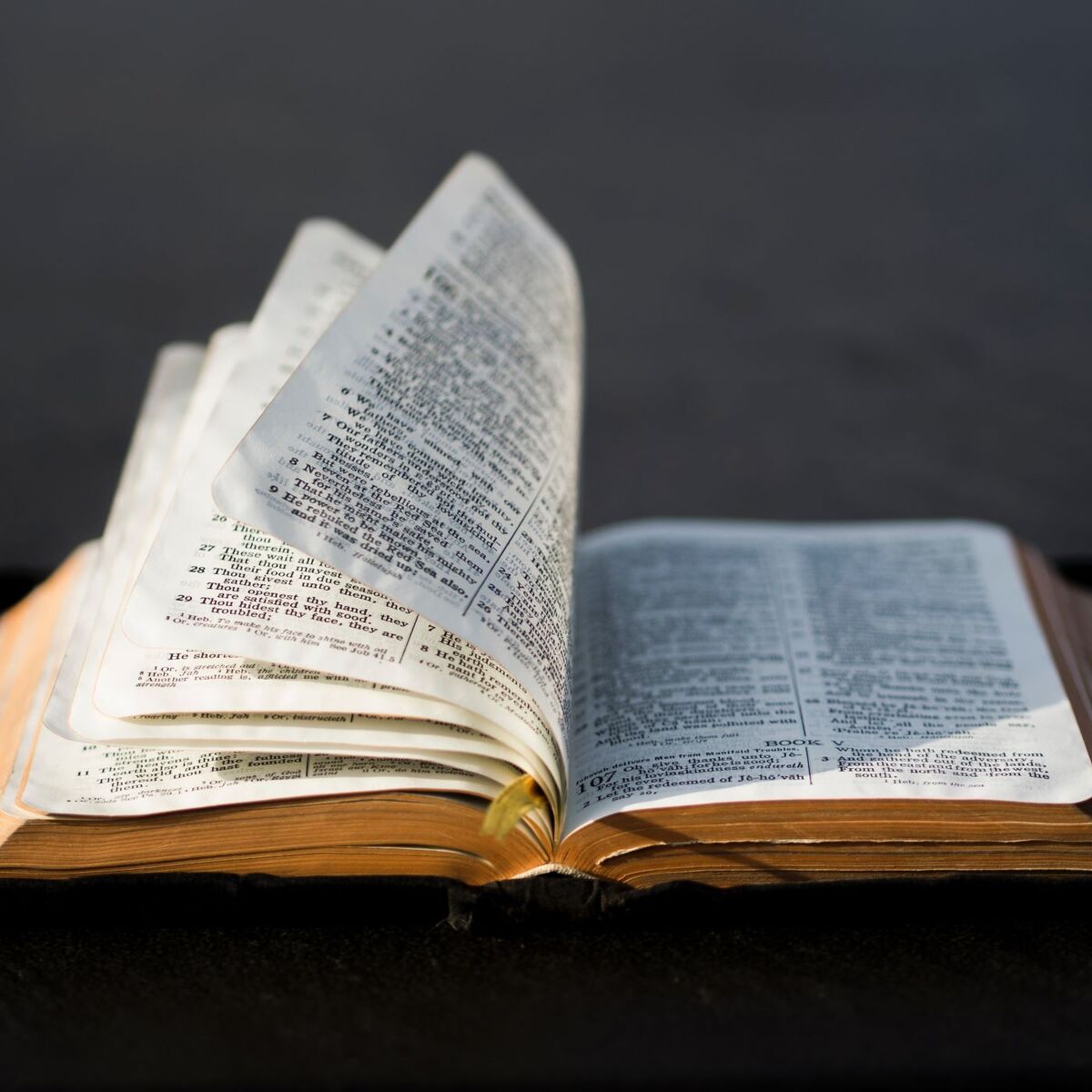 Show cover of hearing KJV audio Bible