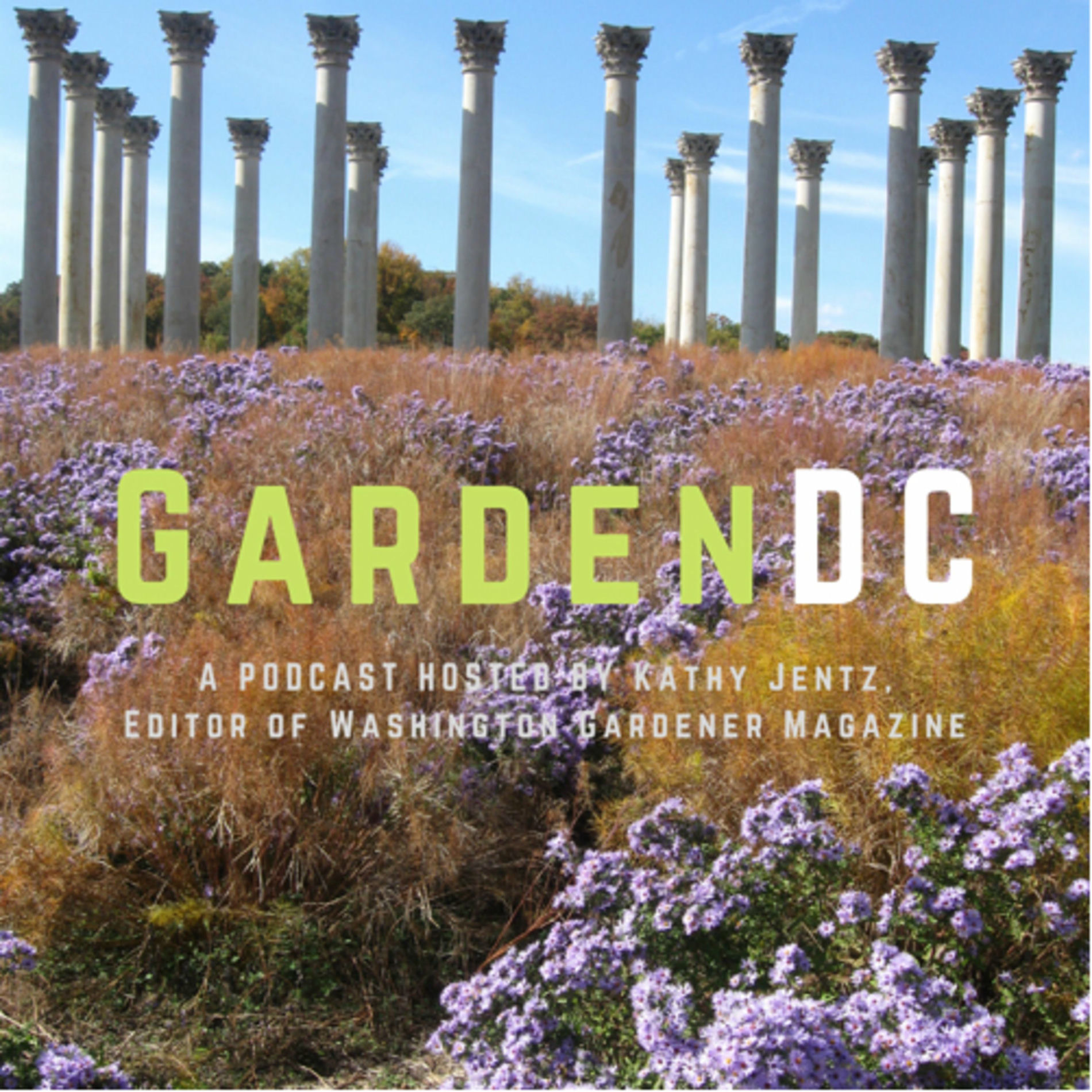 Show cover of GardenDC: The Podcast about Mid-Atlantic Gardening