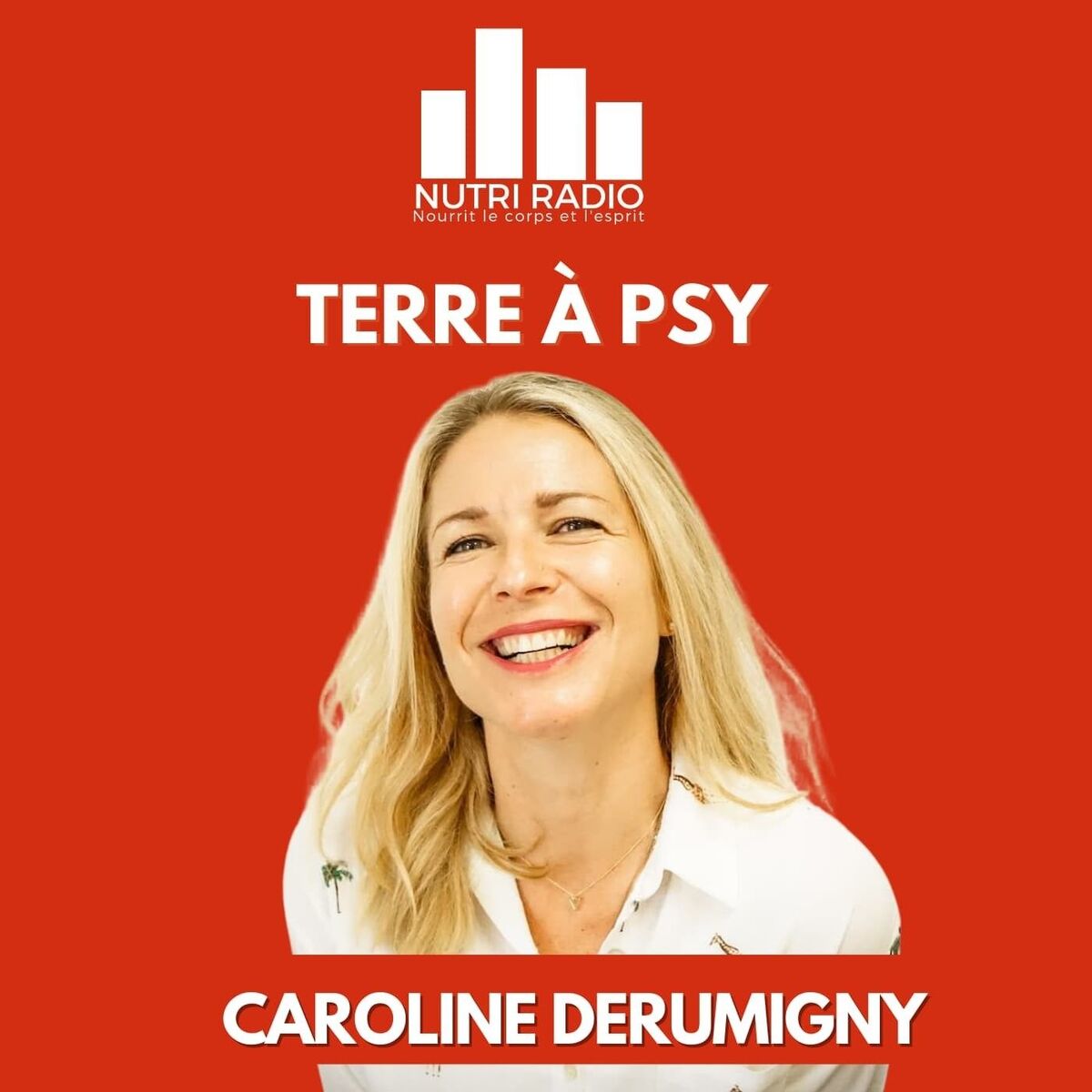 Show cover of Terre à psy