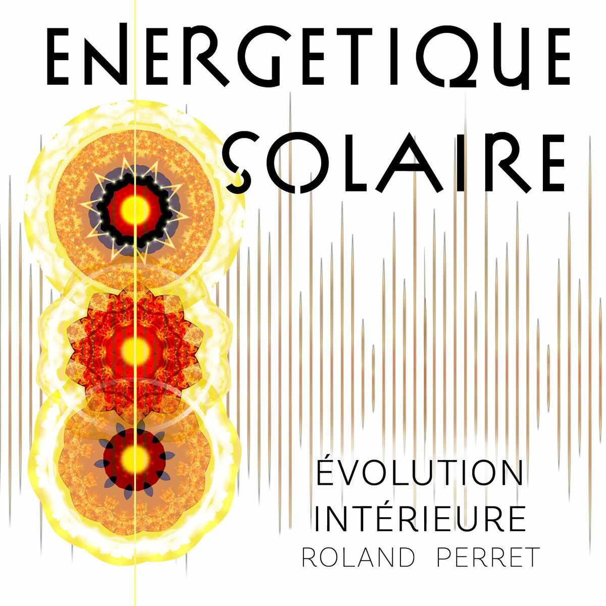 Show cover of Pratique solaire par Roland Perret