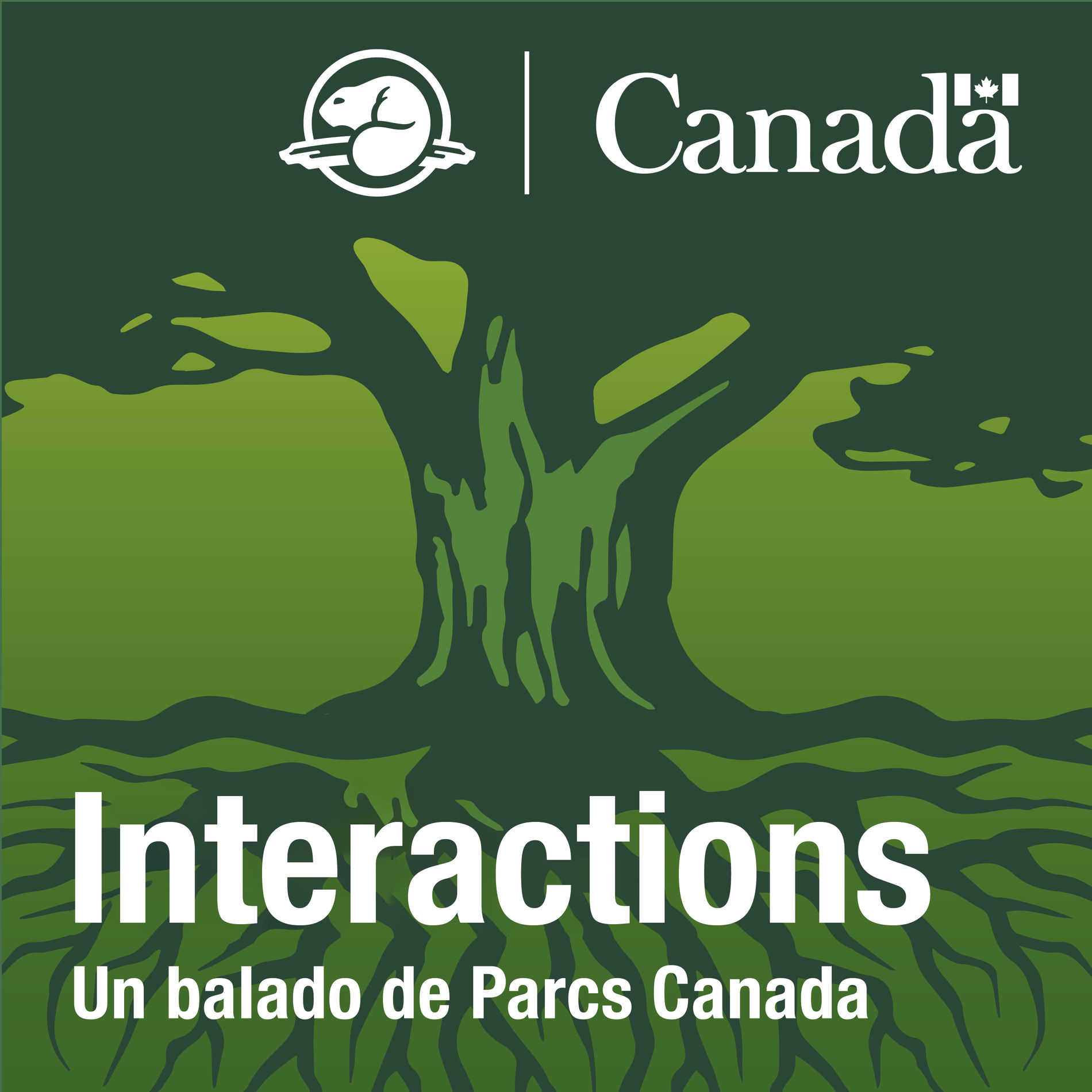 Show cover of Interactions