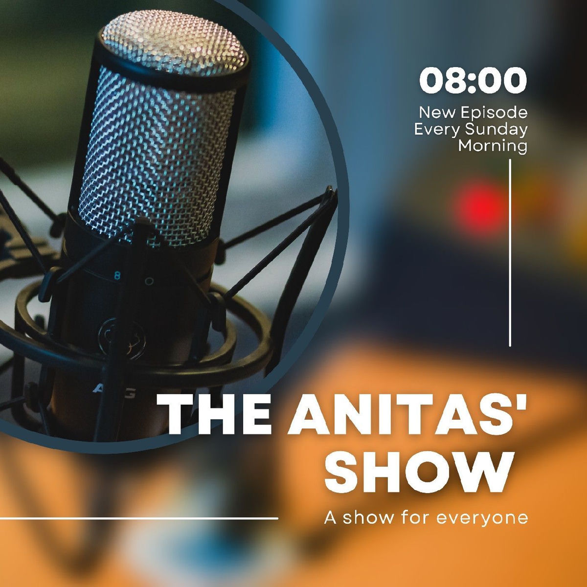 Show cover of The ANITAS' SHOW
