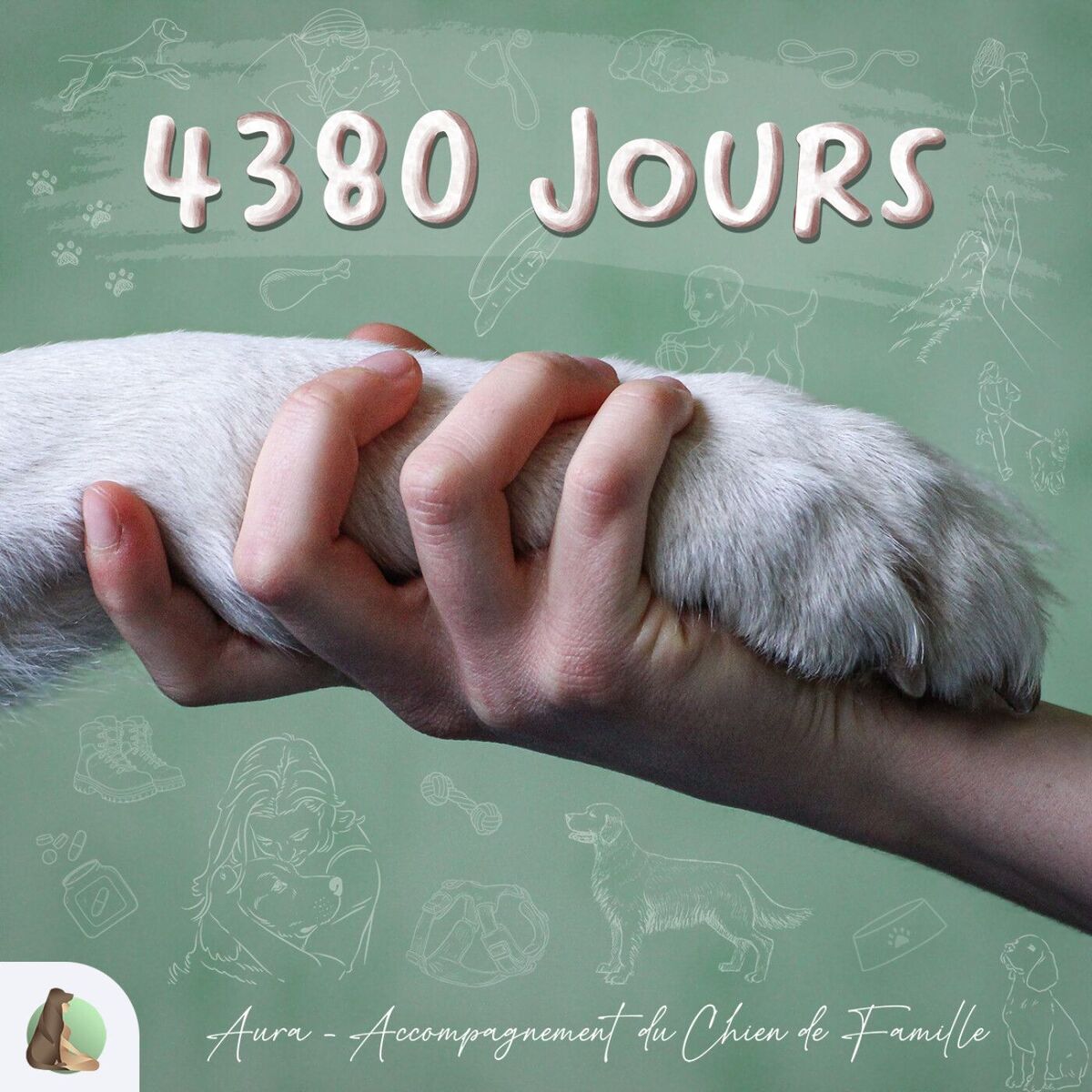 Show cover of 4380 jours avec son chien