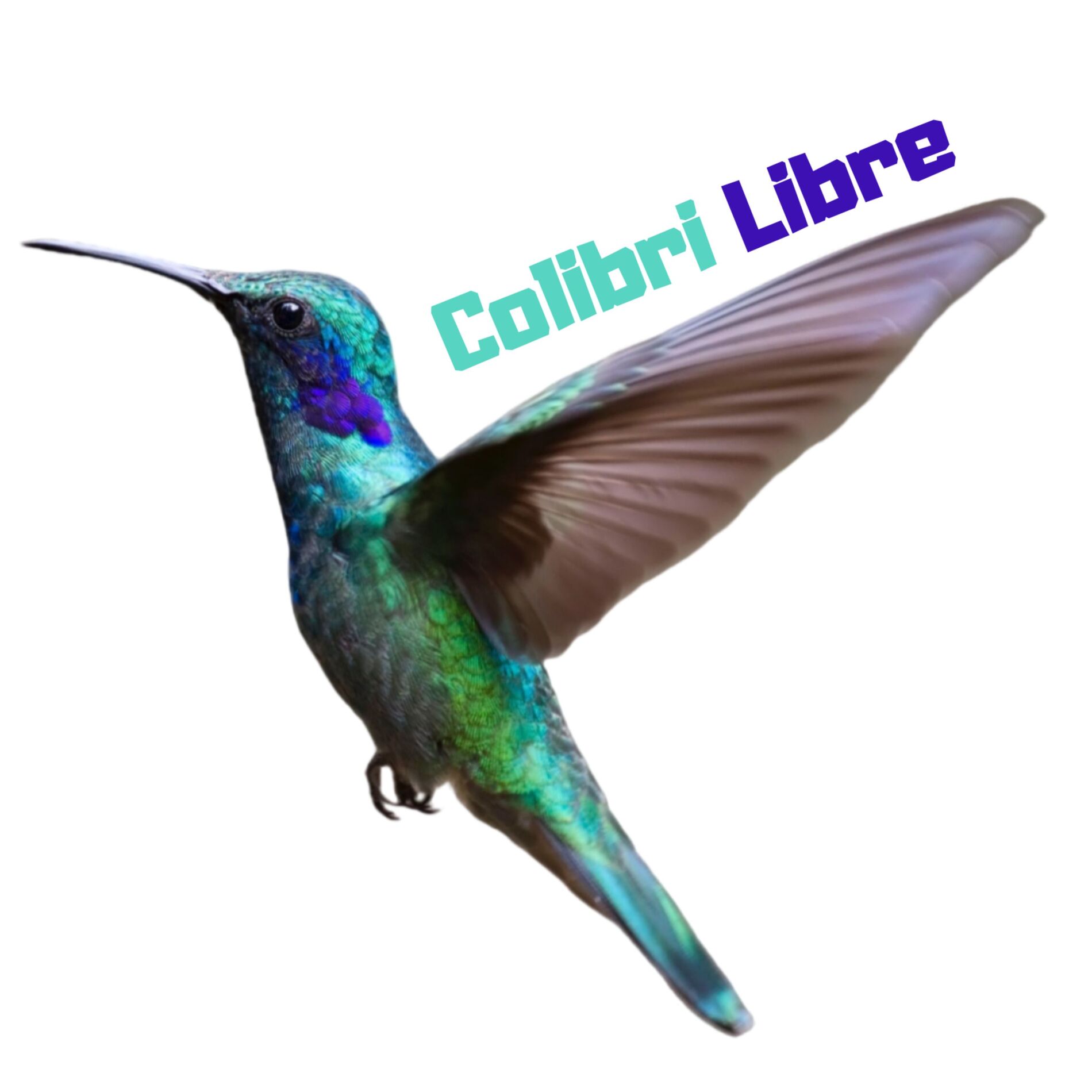 Show cover of Colibri Libre