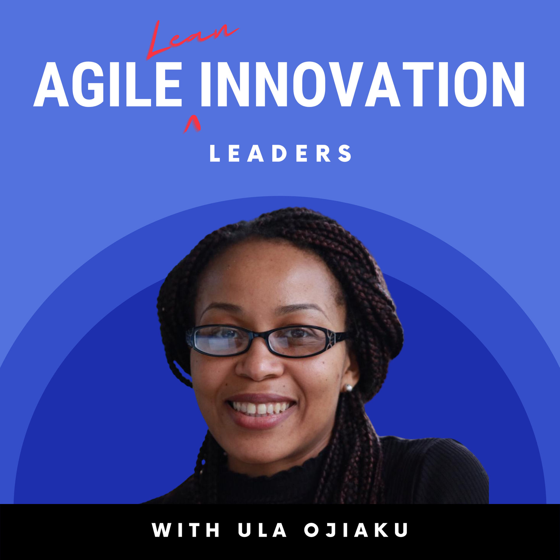 Show cover of Agile Innovation Leaders