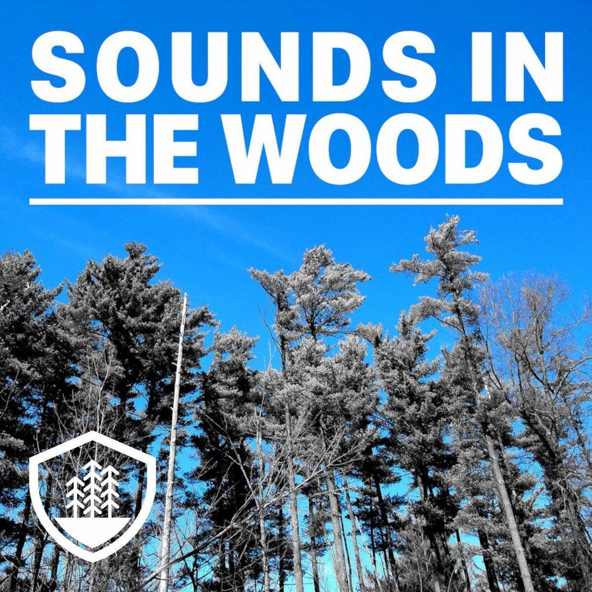 Show cover of Sounds in the Woods