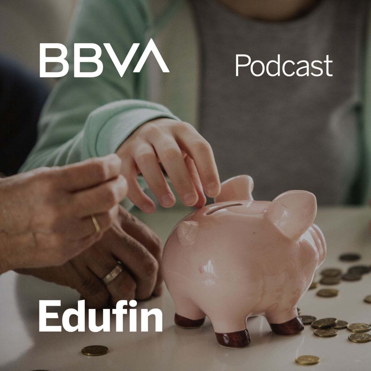 Show cover of BBVA Edufin