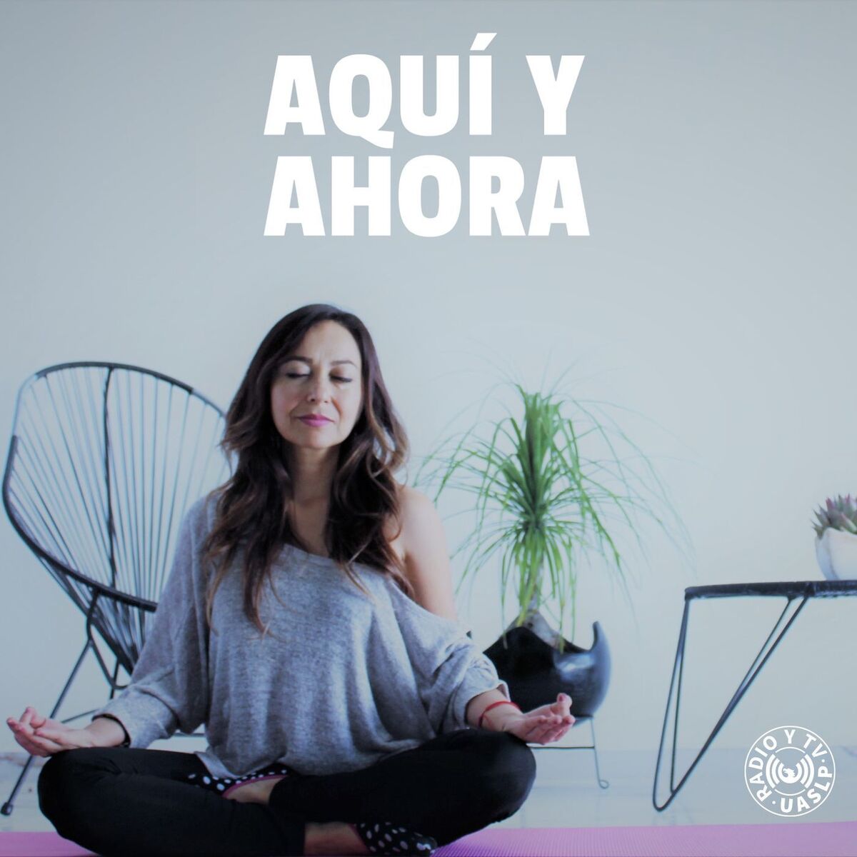 Show cover of Aquí y Ahora. Prácticas de meditación