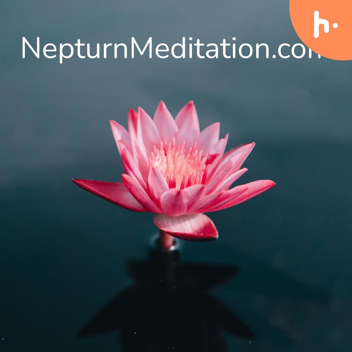 Show cover of Nepturn Meditation: Sleep, Relax, Focus Music