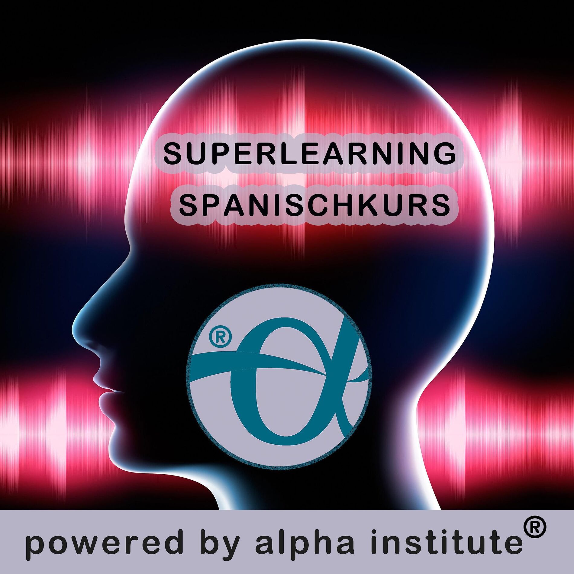 Show cover of SPANISCHKURS  SCHNELL  EFFEKTIV  ERFOLGREICH