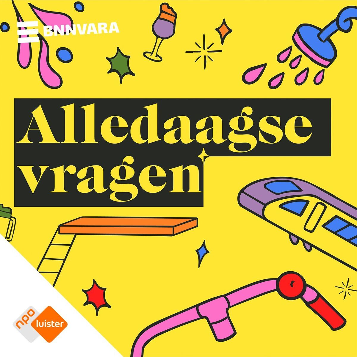 Show cover of Alledaagse Vragen