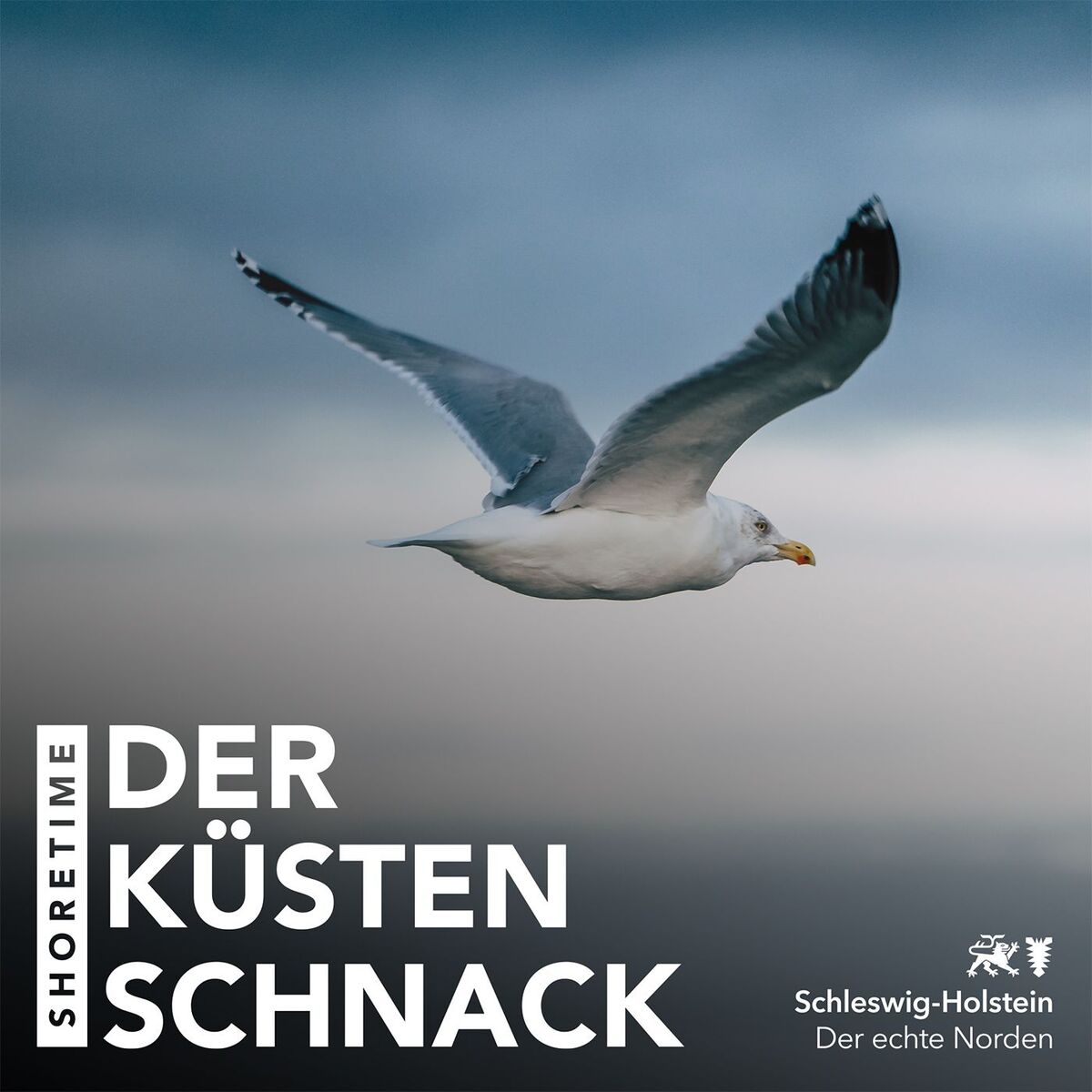 Show cover of ShoreTime – der Küstenschnack