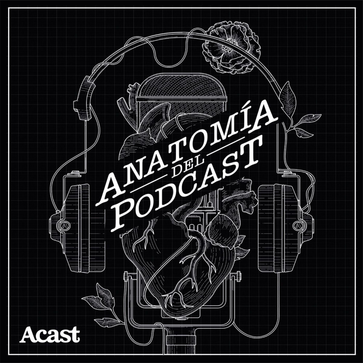 Show cover of Anatomía del podcast