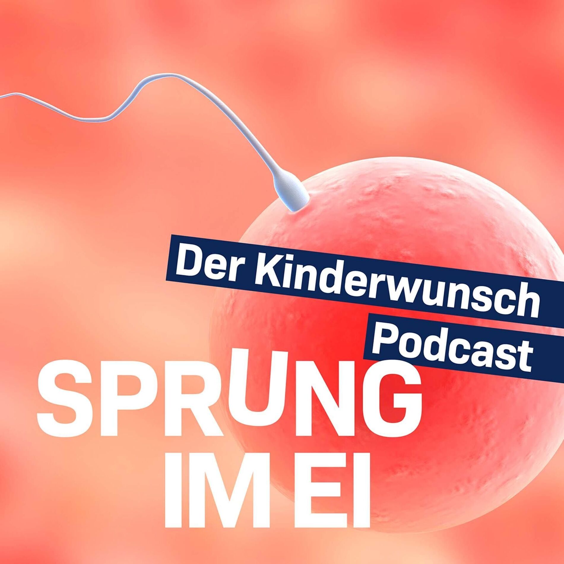 Show cover of Sprung im Ei - Der Kinderwunsch-Podcast