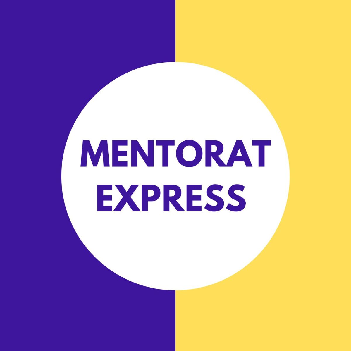 Show cover of Mentorat Express