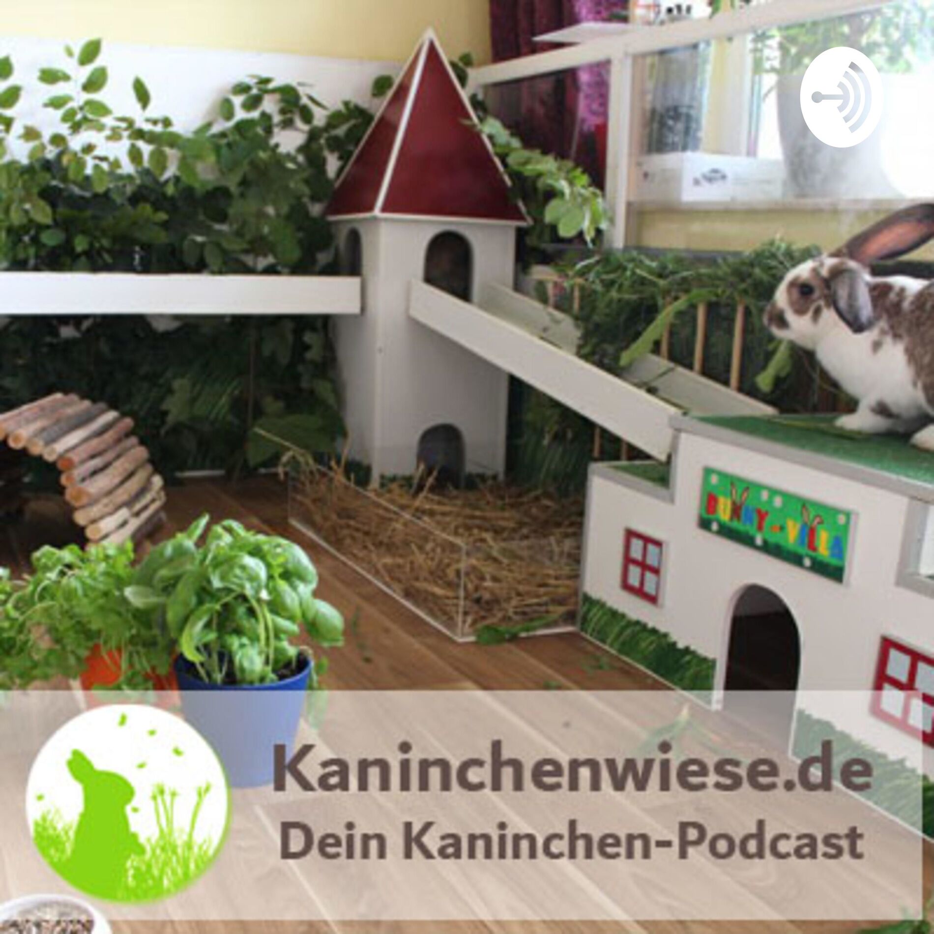 Show cover of Kaninchenwiese.de Dein Kaninchen-Podcast