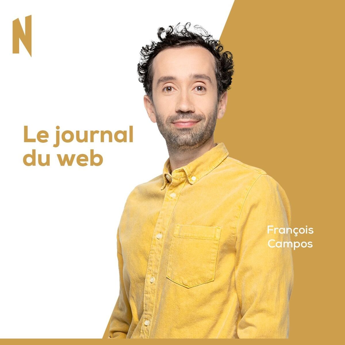 Show cover of Le journal du web