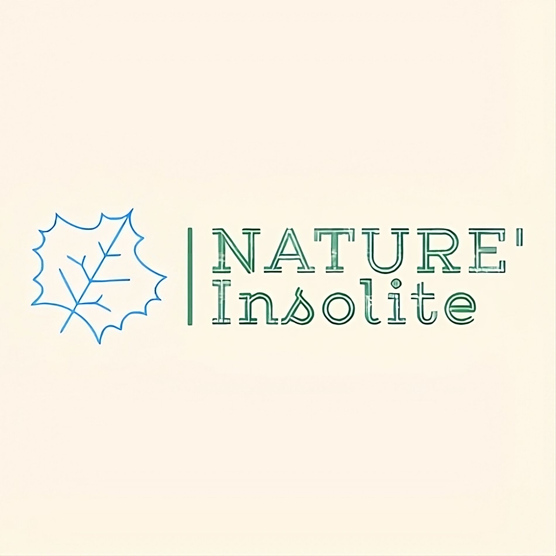 Show cover of NATURE' Insolite