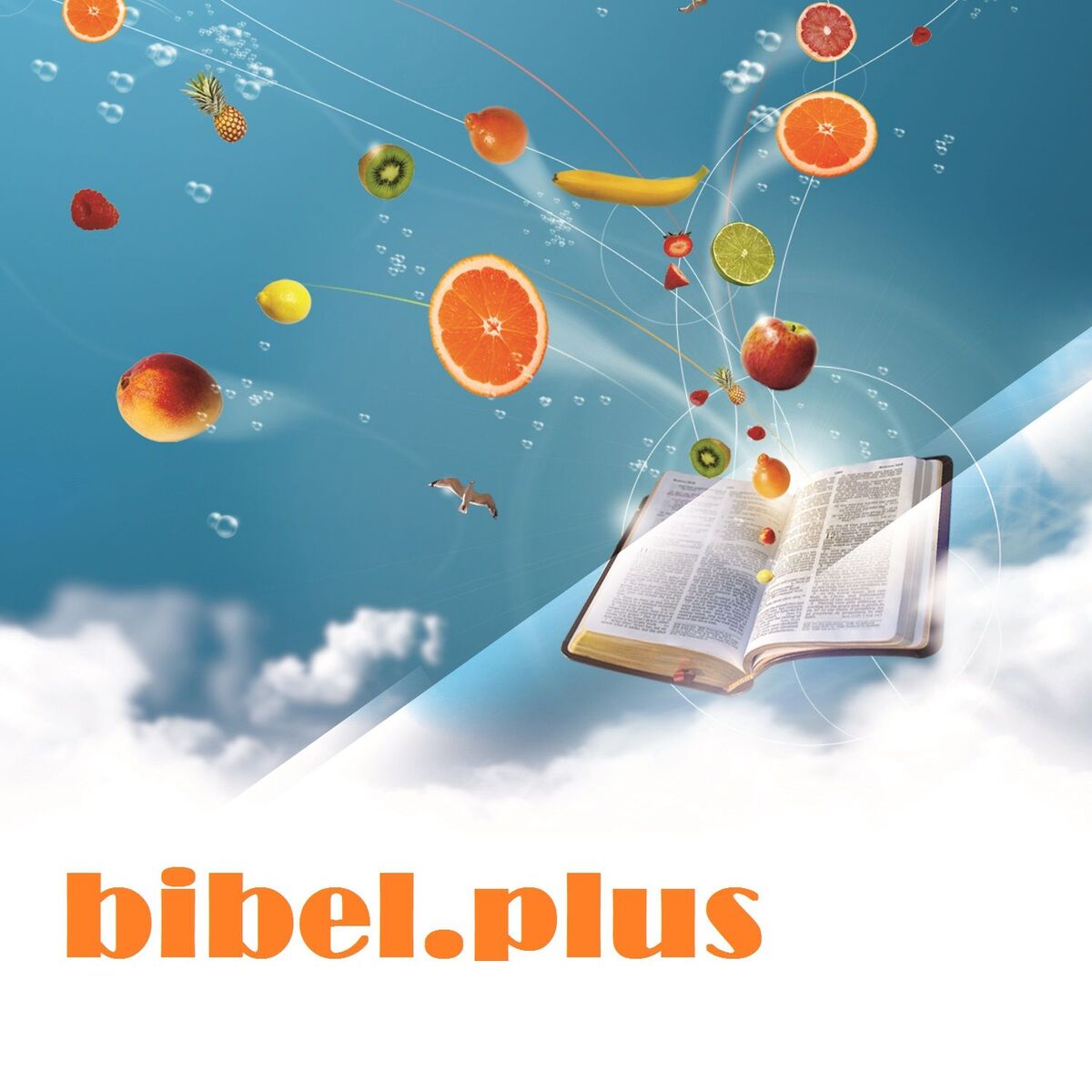 Show cover of bibel.plus
