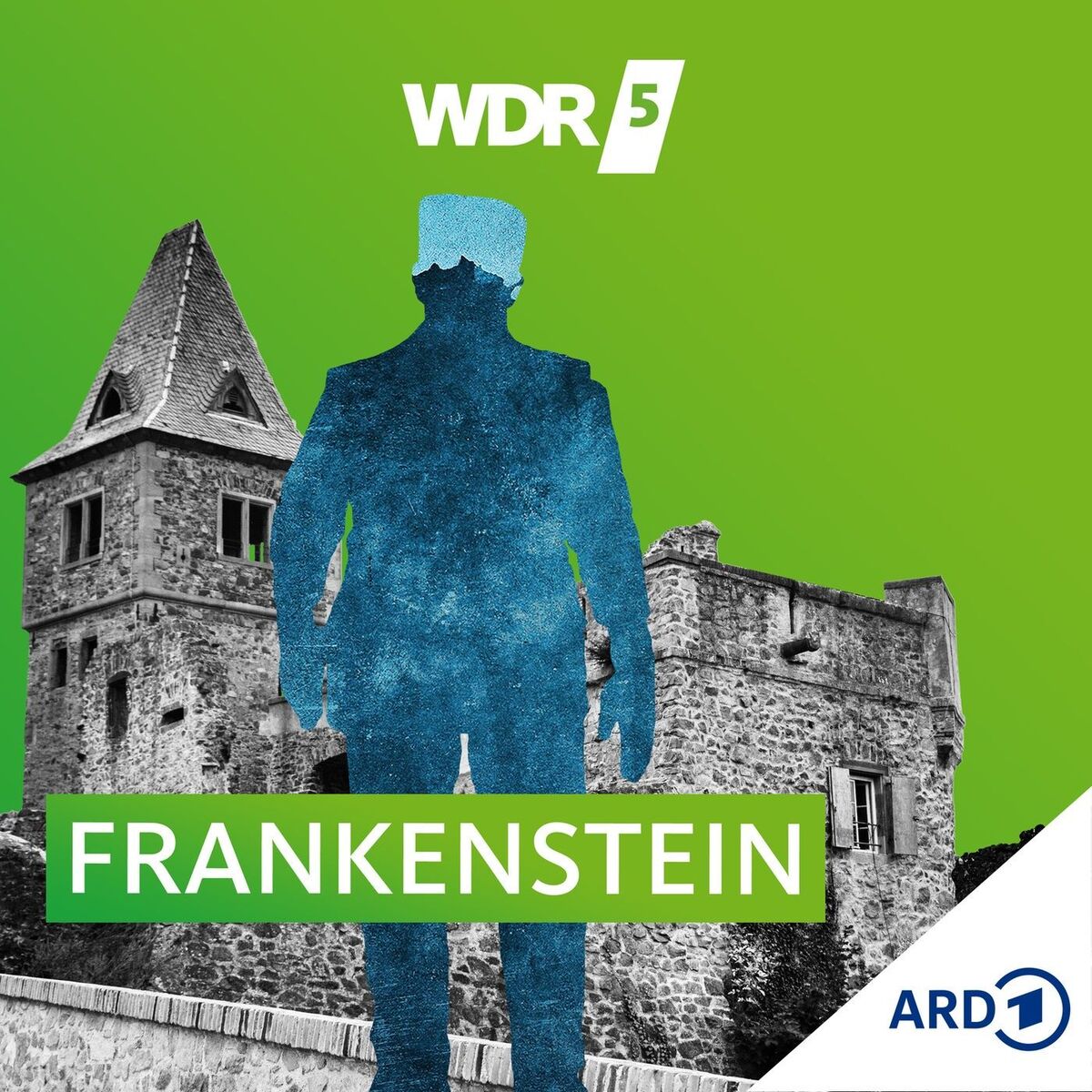 Show cover of WDR 5 Frankenstein - Hörbuch